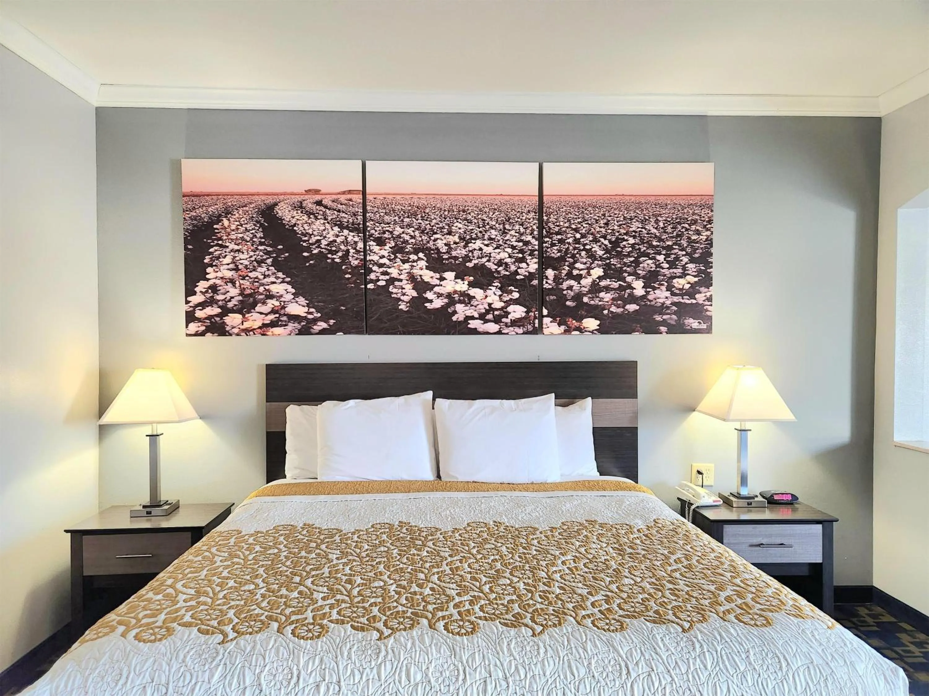 King Room - single occupancy - Smoking  in Days Inn by Wyndham Robstown