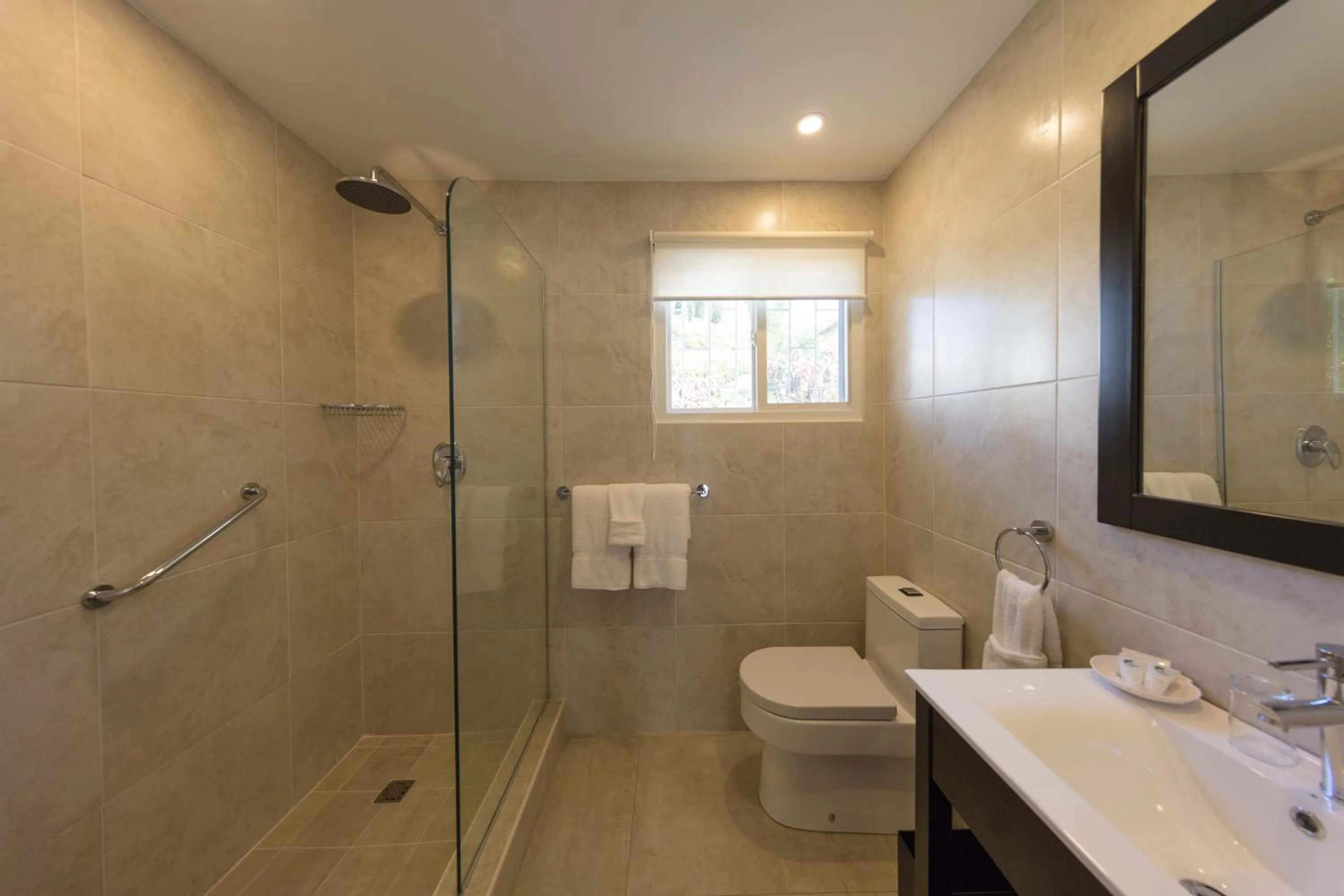 Deluxe Suite in All Seasons Resort