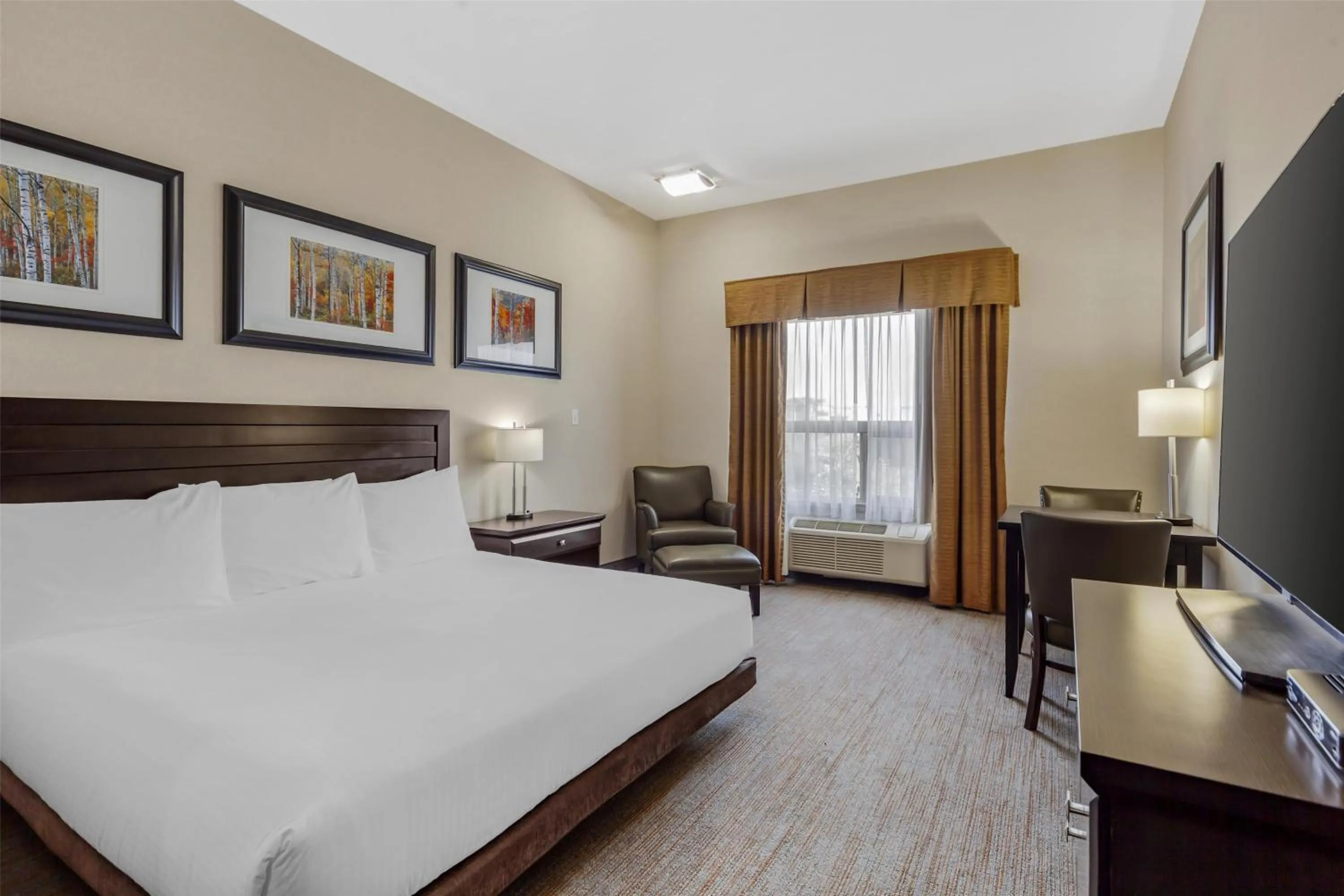 King Room with Roll-In Shower - Disability Access in Best Western Wainwright Inn & Suites