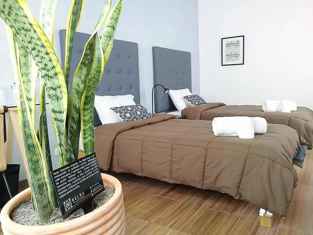 Twin Room with Private Bathroom in Belma Boutique Bed and Breakfast