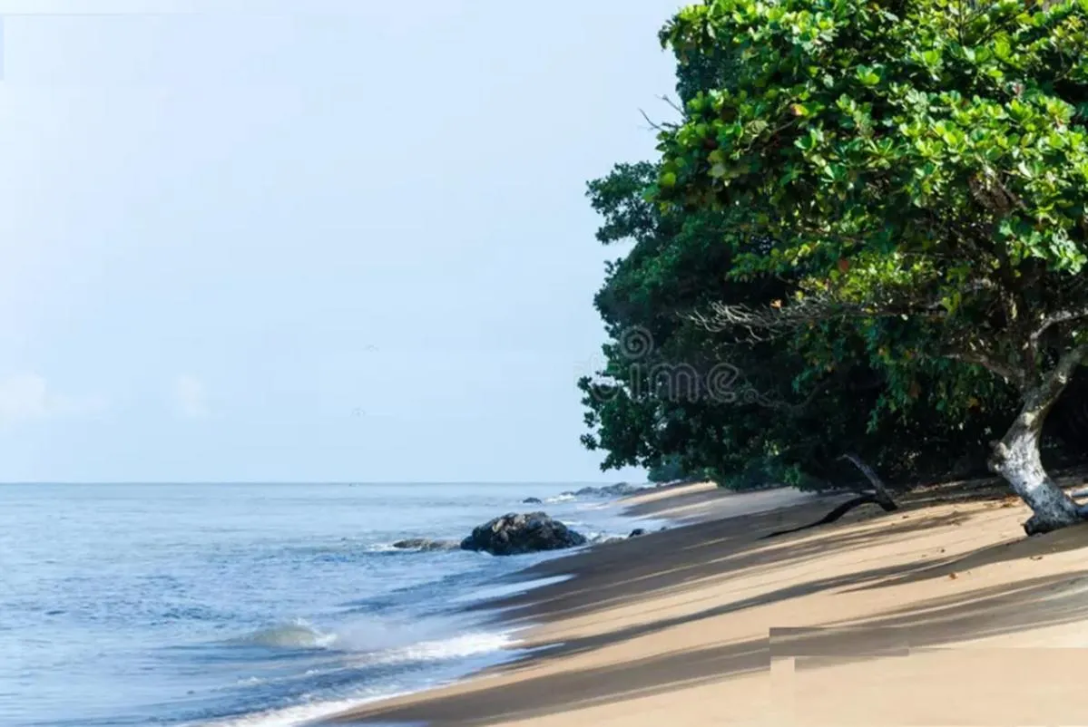 Family Suite with Balcony in Hôtel Restaurant Gites Kribi