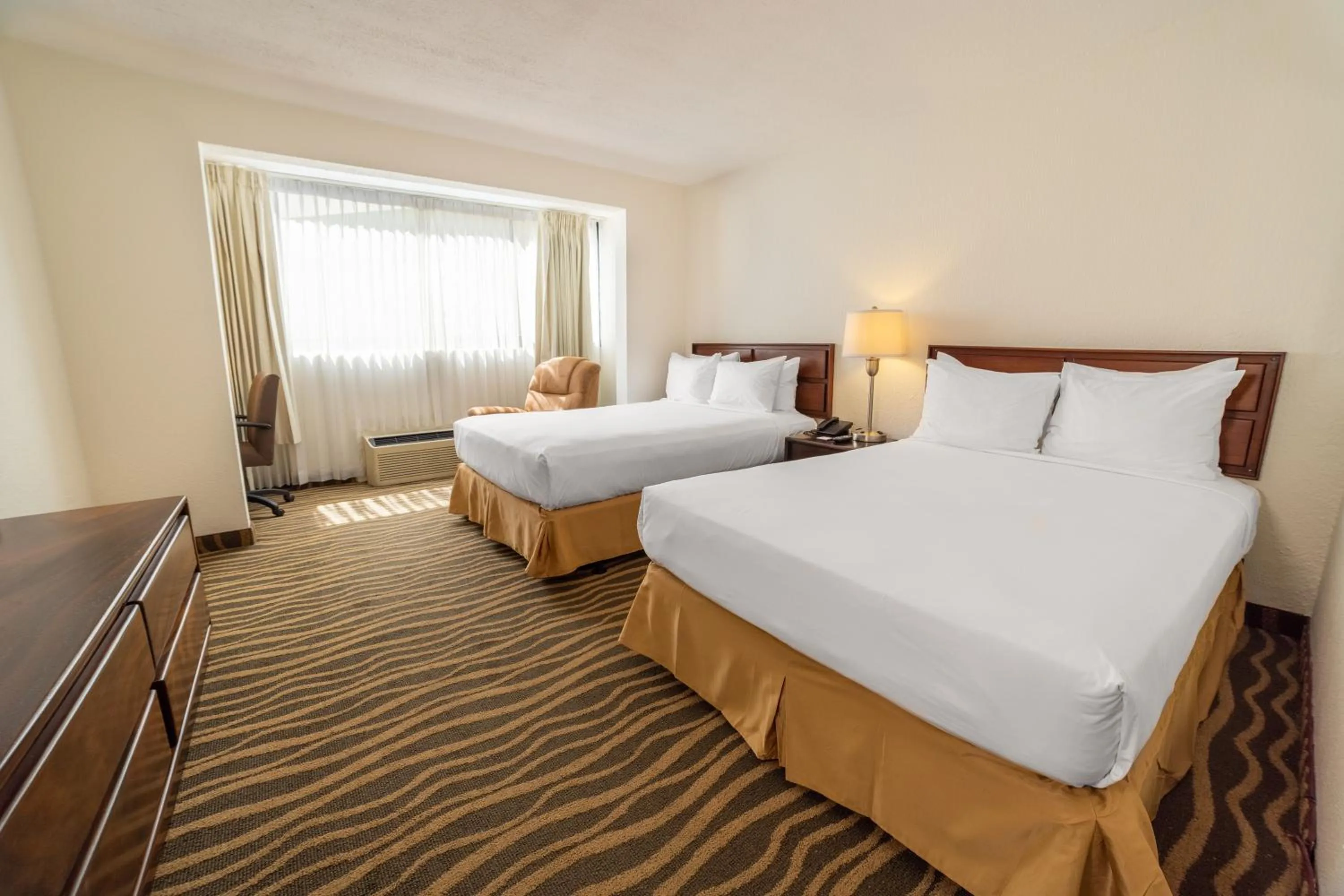 Standard Double in Irazú Hotel & Studios