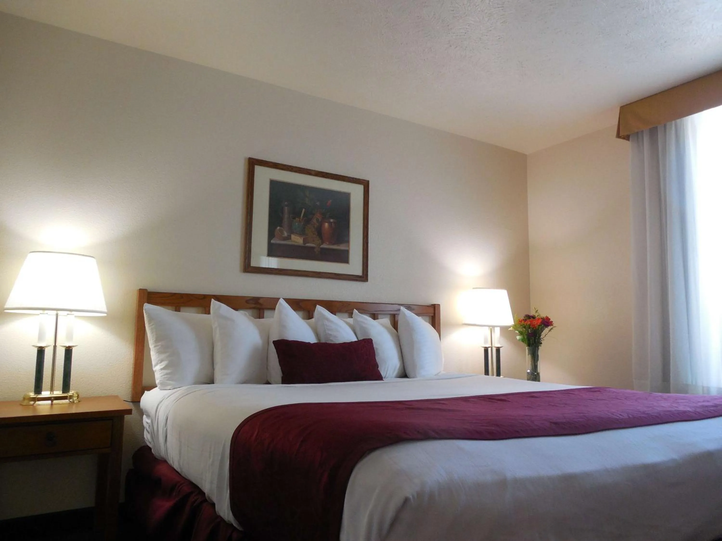King Room with Roll-In Shower - single occupancy - Mobility Access in Best Western John Jay Inn