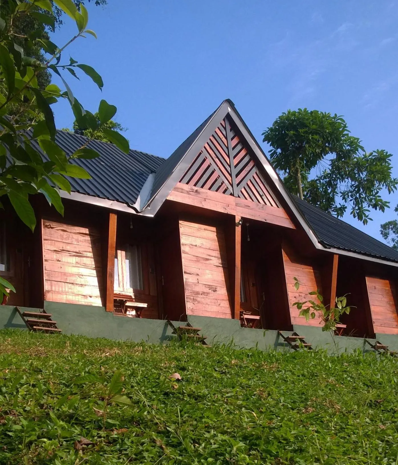 Single Bed in Female Dormitory Room in Sinharaja Forest Gate