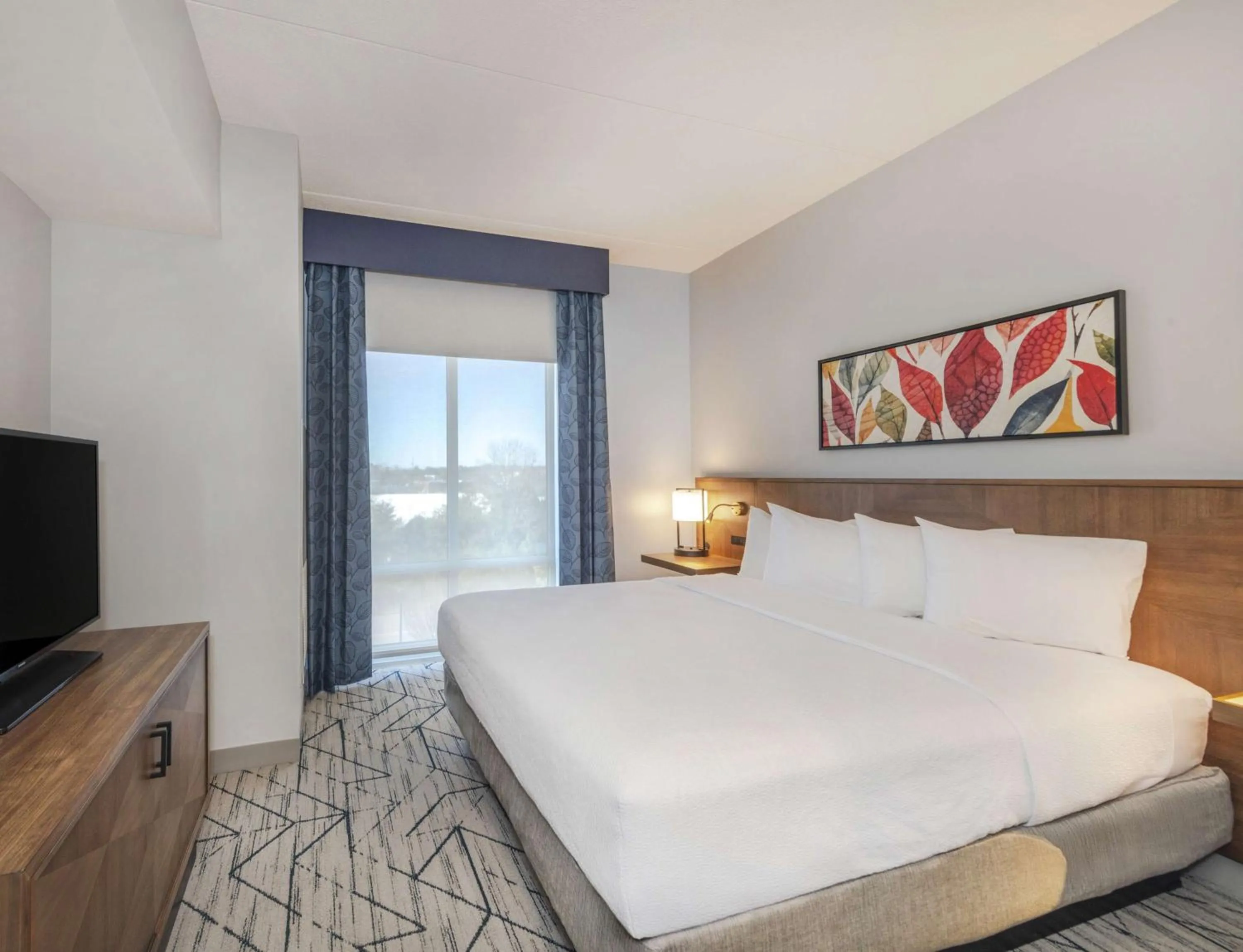 Junior King Suite with Sofa Bed in Hilton Garden Inn Raleigh Cary