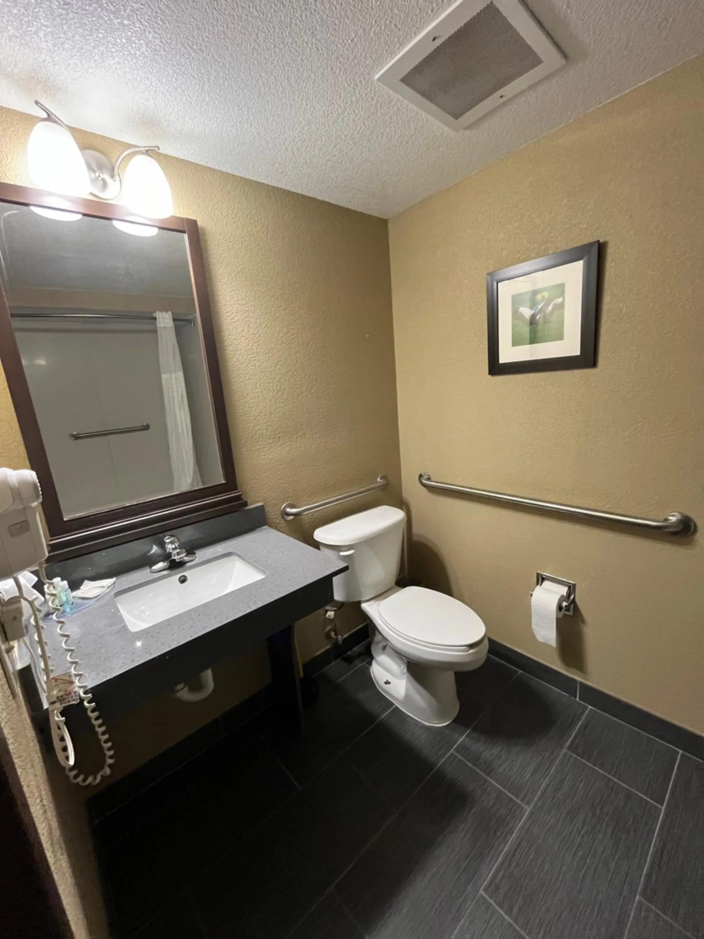 King Suite with Accessible Tub - Accessible/Non-Smoking in Quality Suites Graham - Burlington South