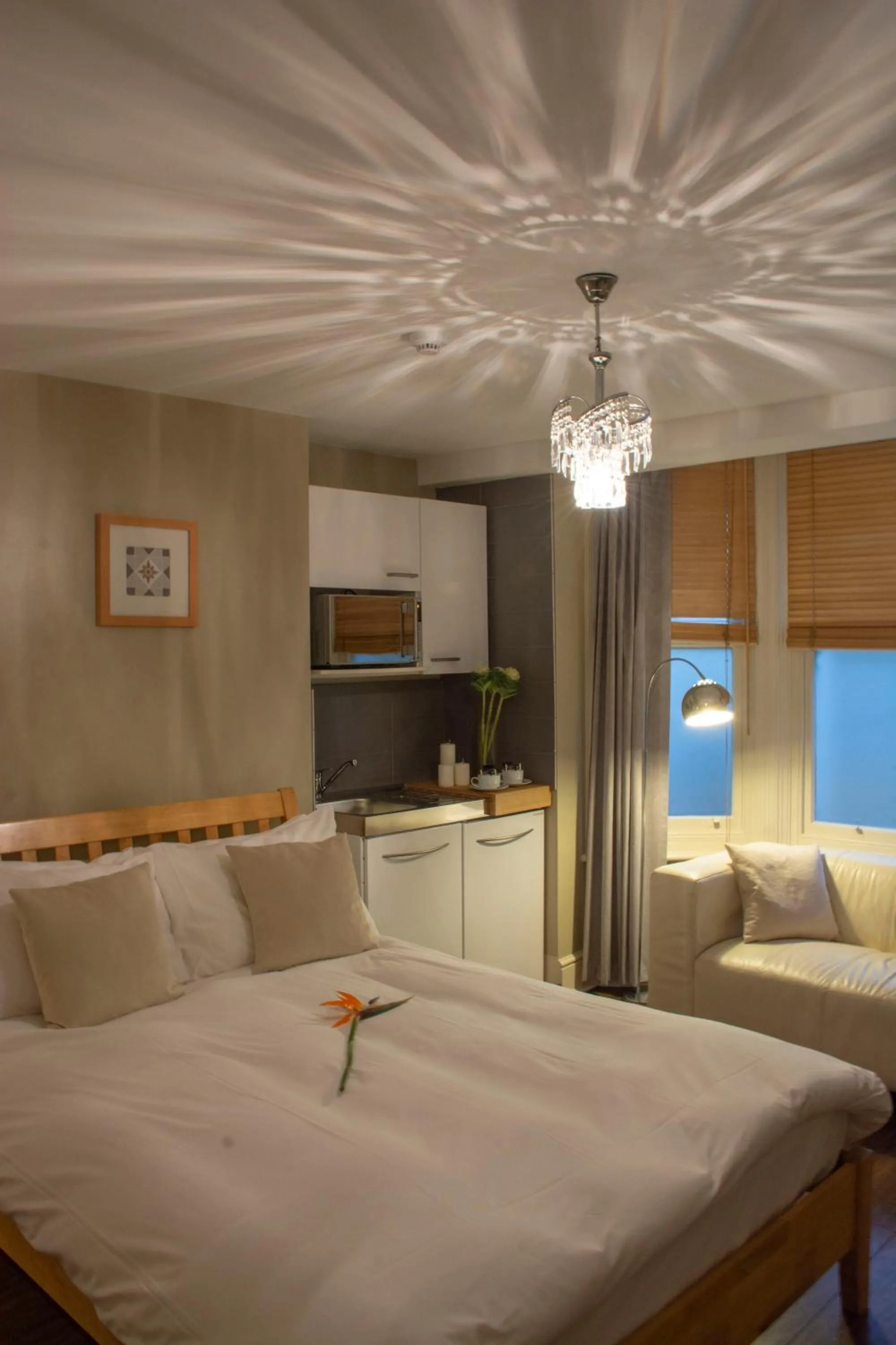 Double Room in Amherst Brighton