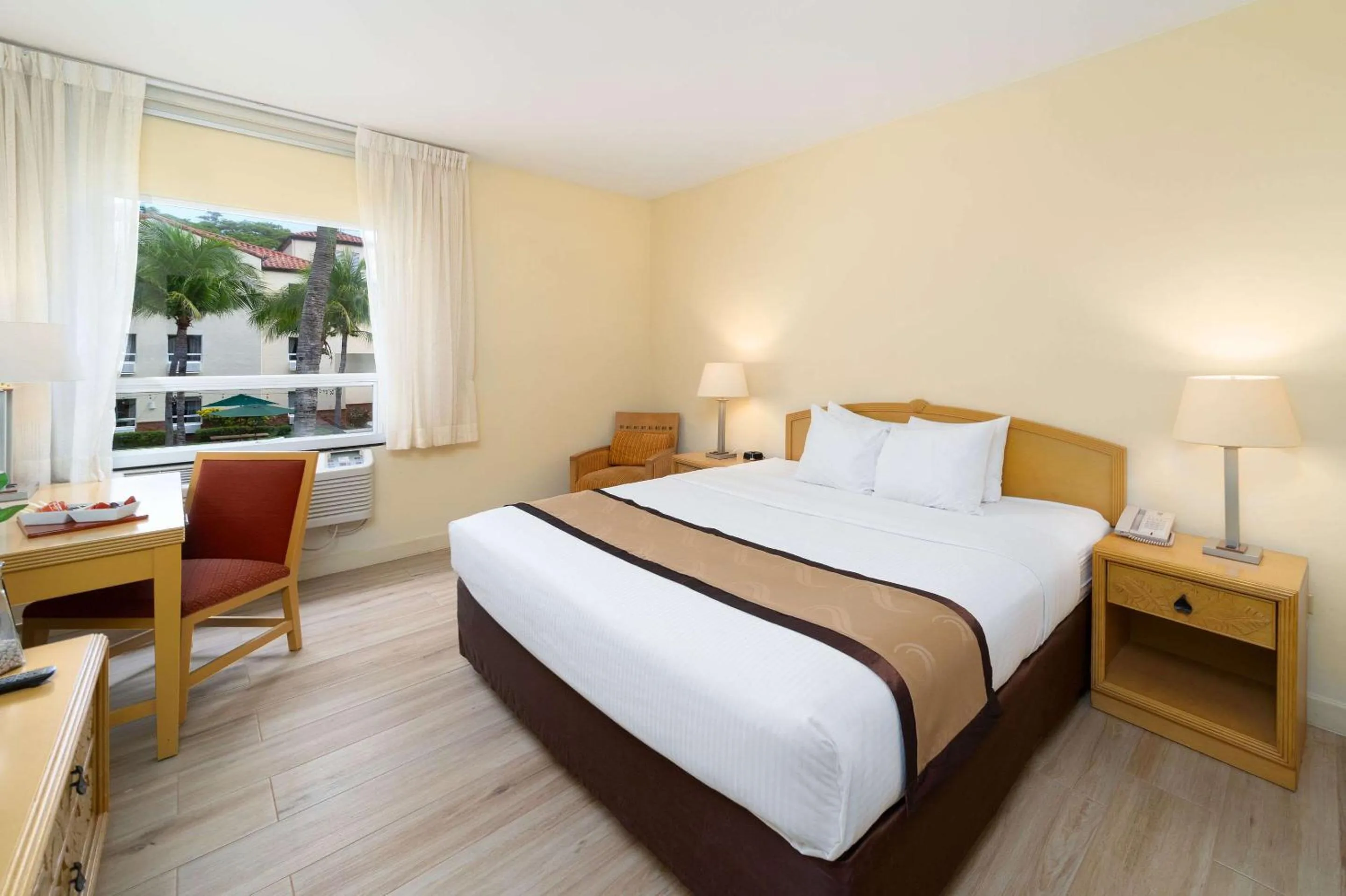 King Room - single occupancy - Accessible/Non-Smoking in Quality Hotel Real Aeropuerto San Salvador