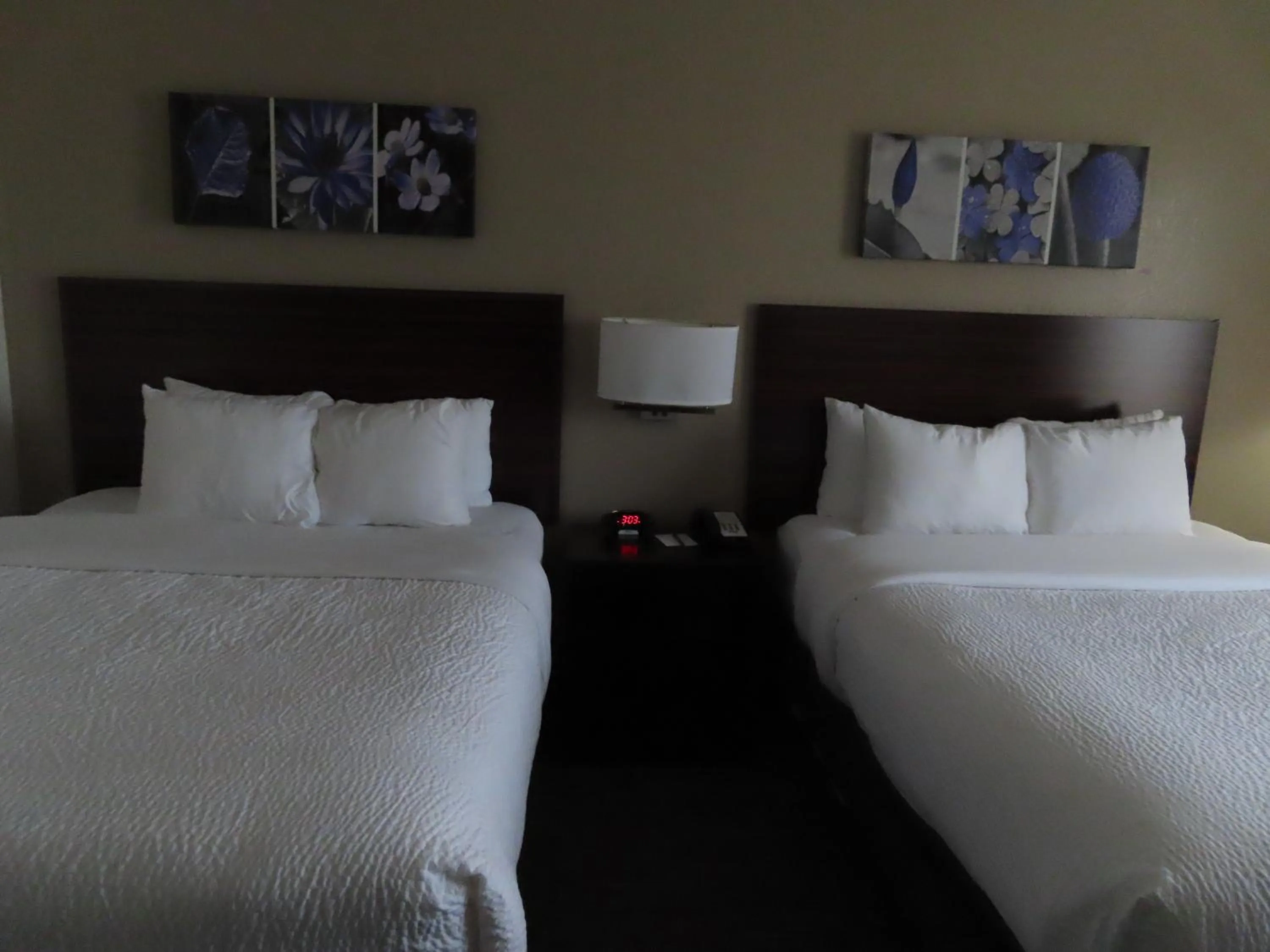 Queen Suite with Two Queen Beds - Non-Smoking in Sleep Inn & Suites Denver International Airport