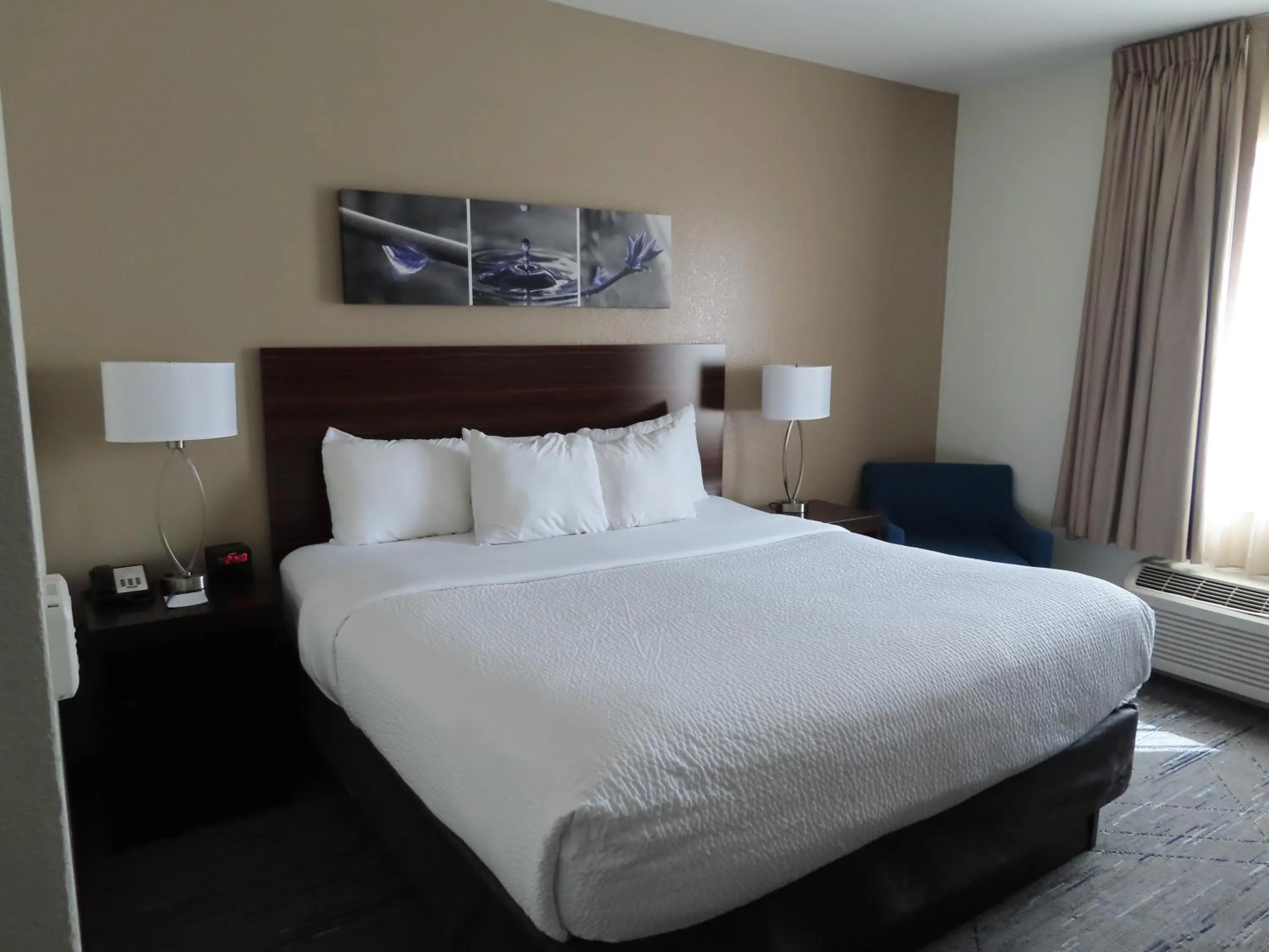 Superior King Suite - Non Smoking in Sleep Inn & Suites Denver International Airport