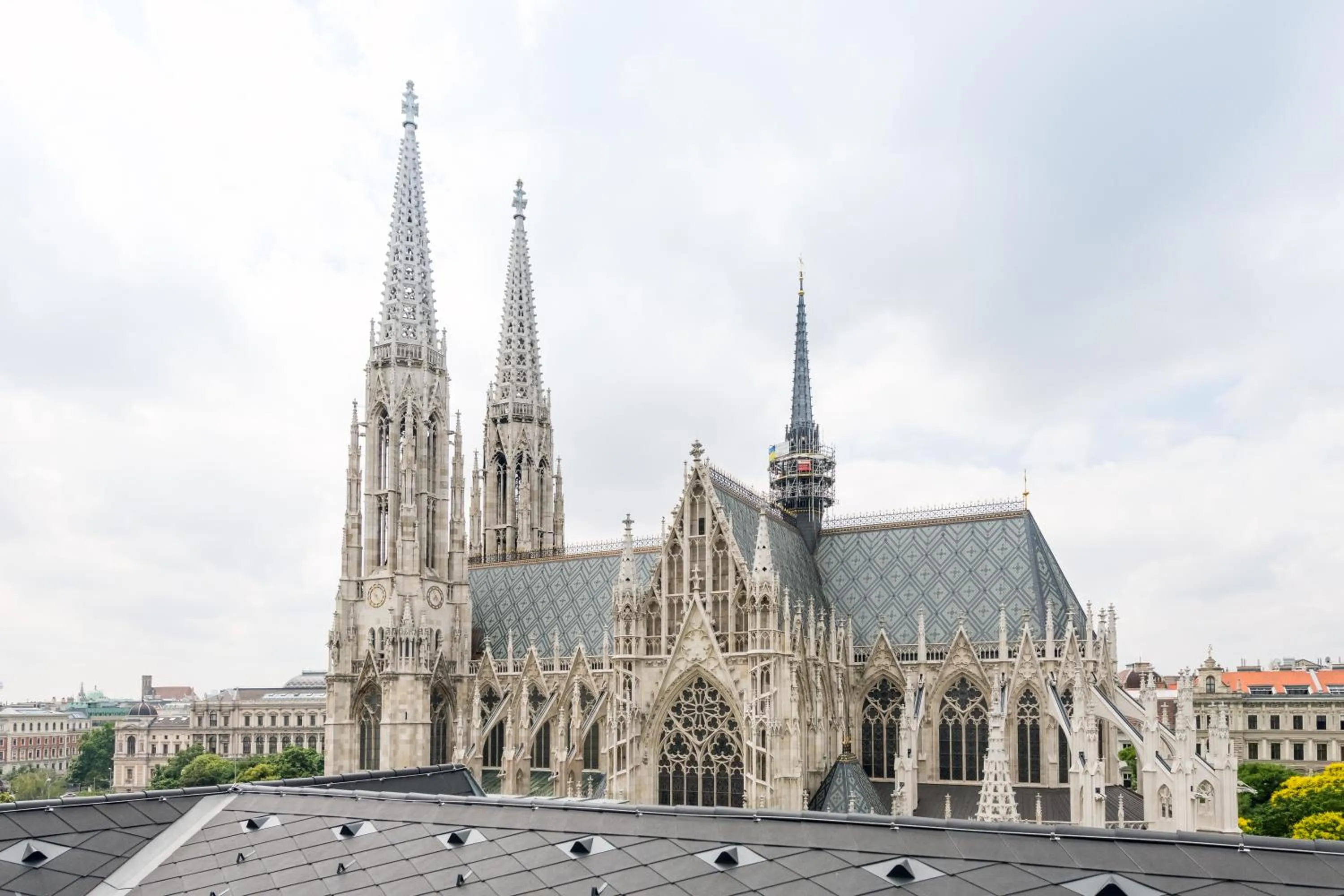 Single Room in Hotel Regina