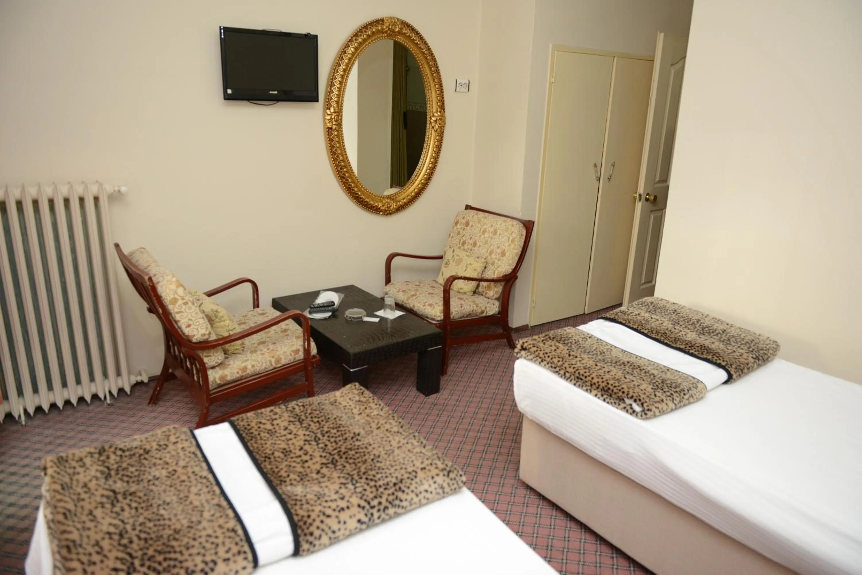 Standard Double or Twin Room in Hotel Soydan