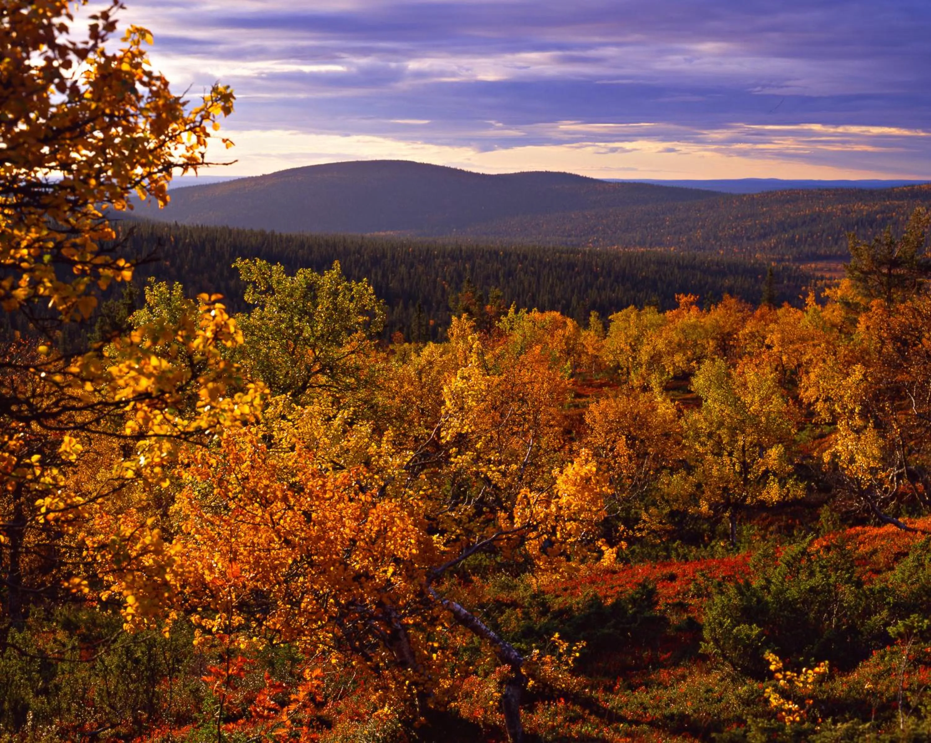 Mountain view in Lapland Hotels Ylläskaltio