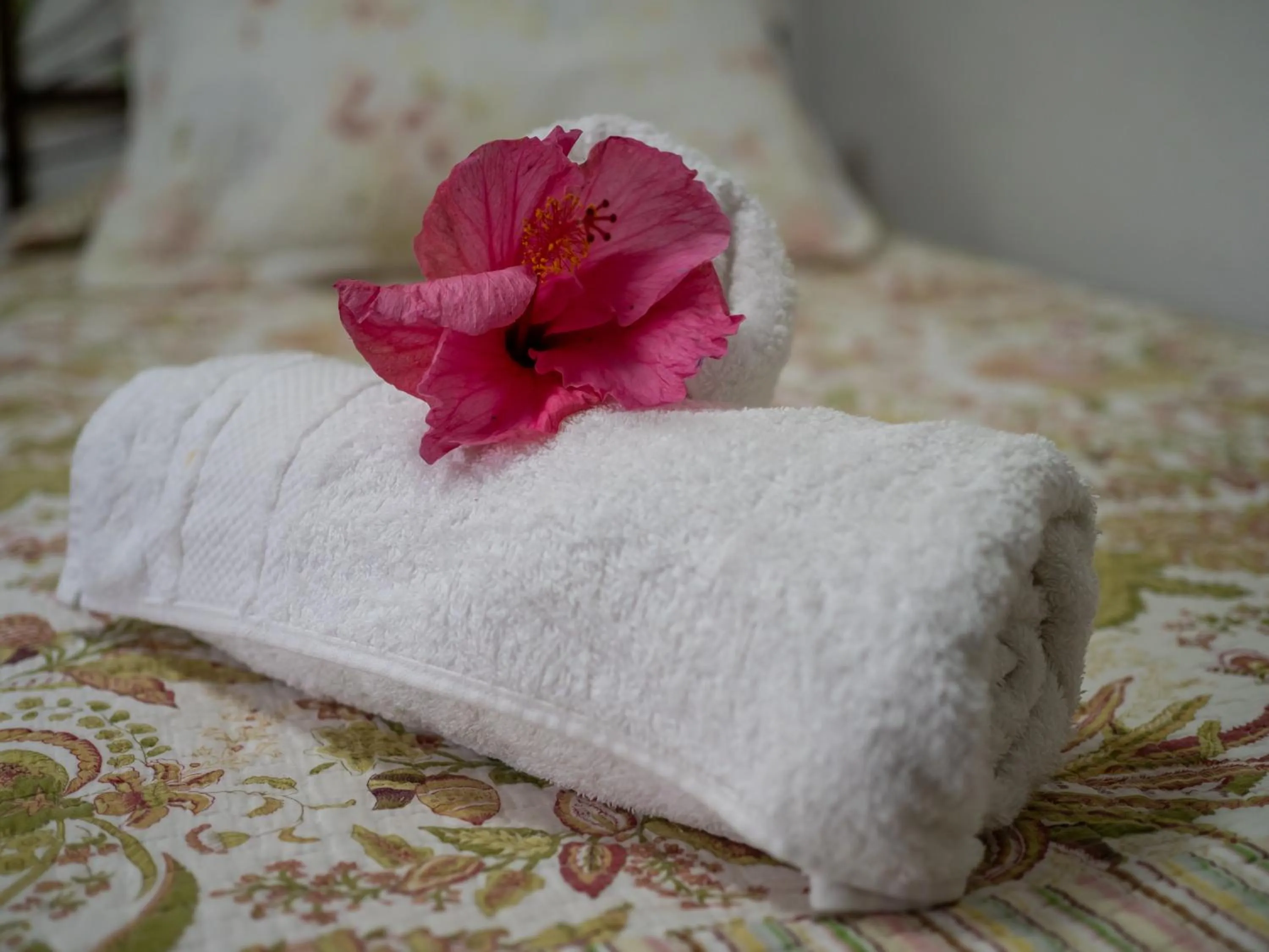 Standard Triple Room with Sea View - single occupancy in Tupa Hotel