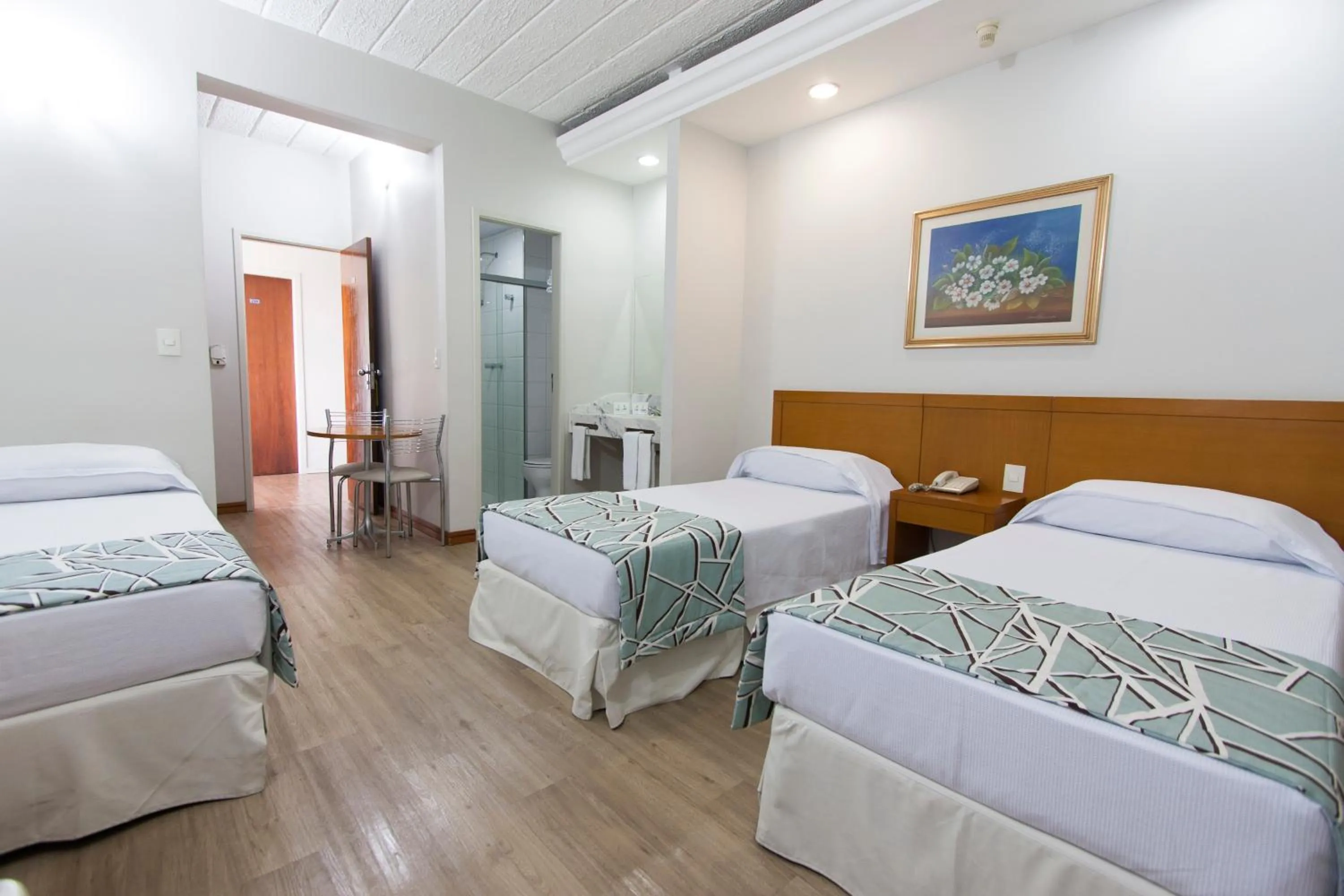 Standard Triple Apartment - single occupancy in Di Giulio Hotel