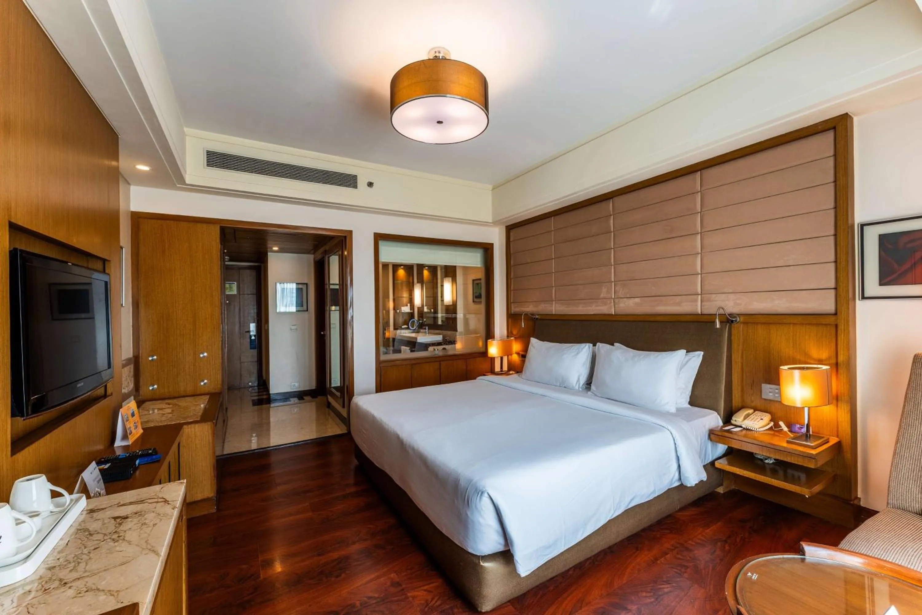 Business Double Room with complimentary 10% discount on food in Radisson Blu Hotel, Indore