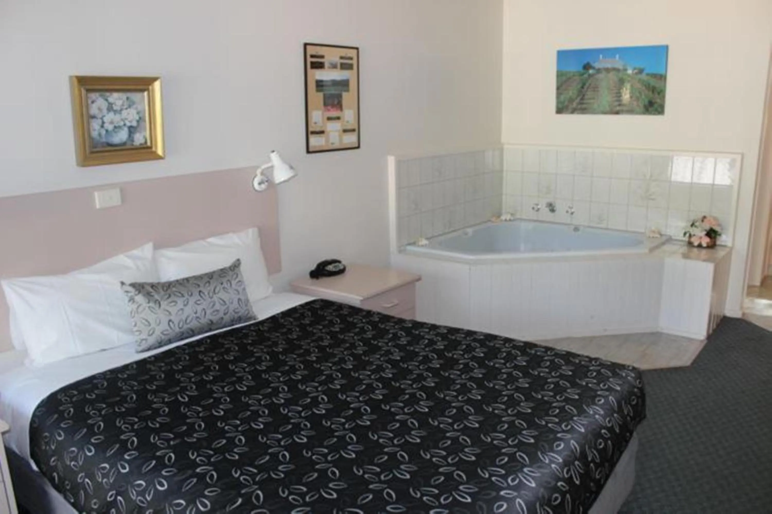 Double Room with Spa Bath in The Balnarring Motel