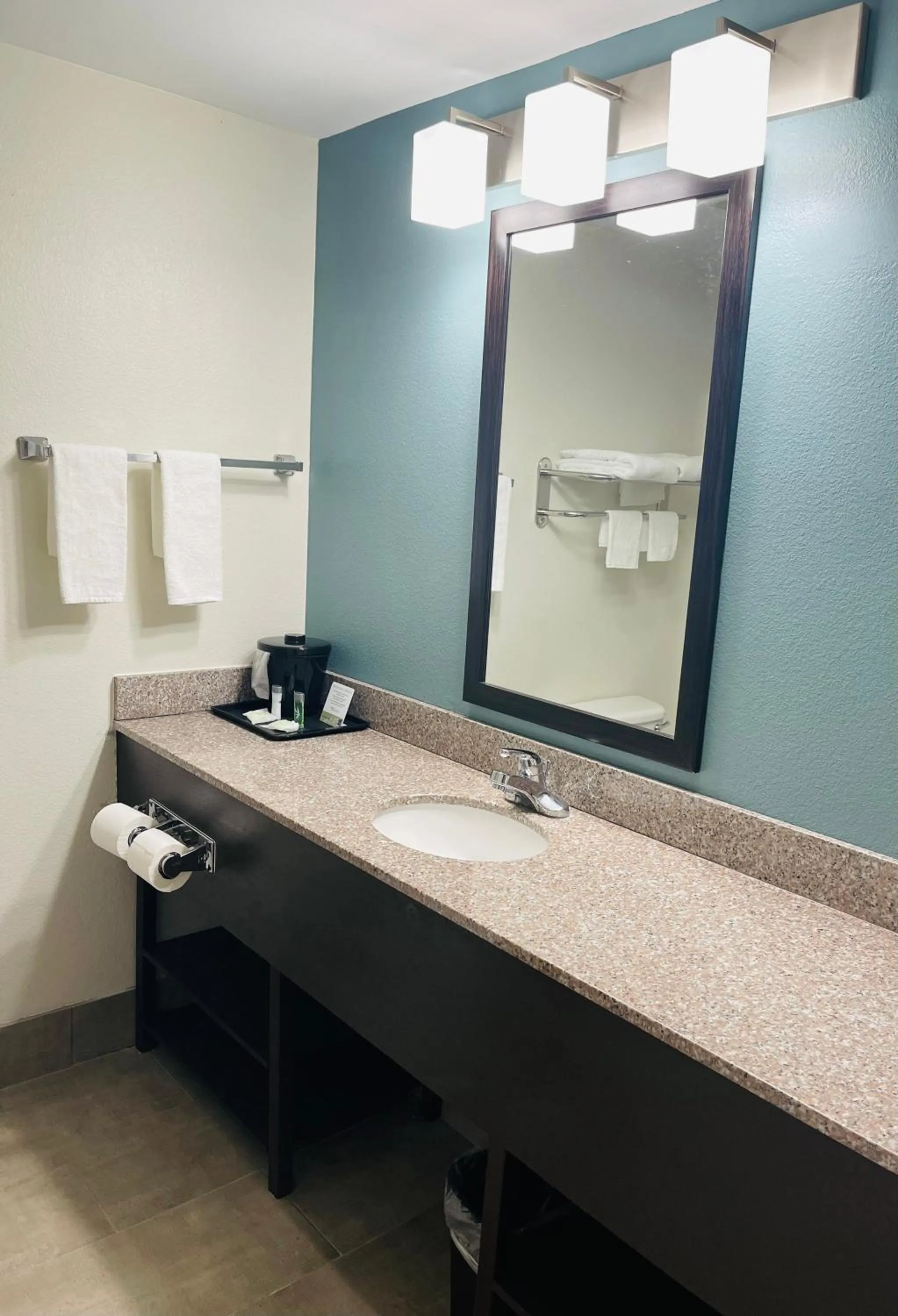 Standard King Room with Jacuzzi - Non Smoking in Sleep Inn & Suites Foley - Gulf Shores North