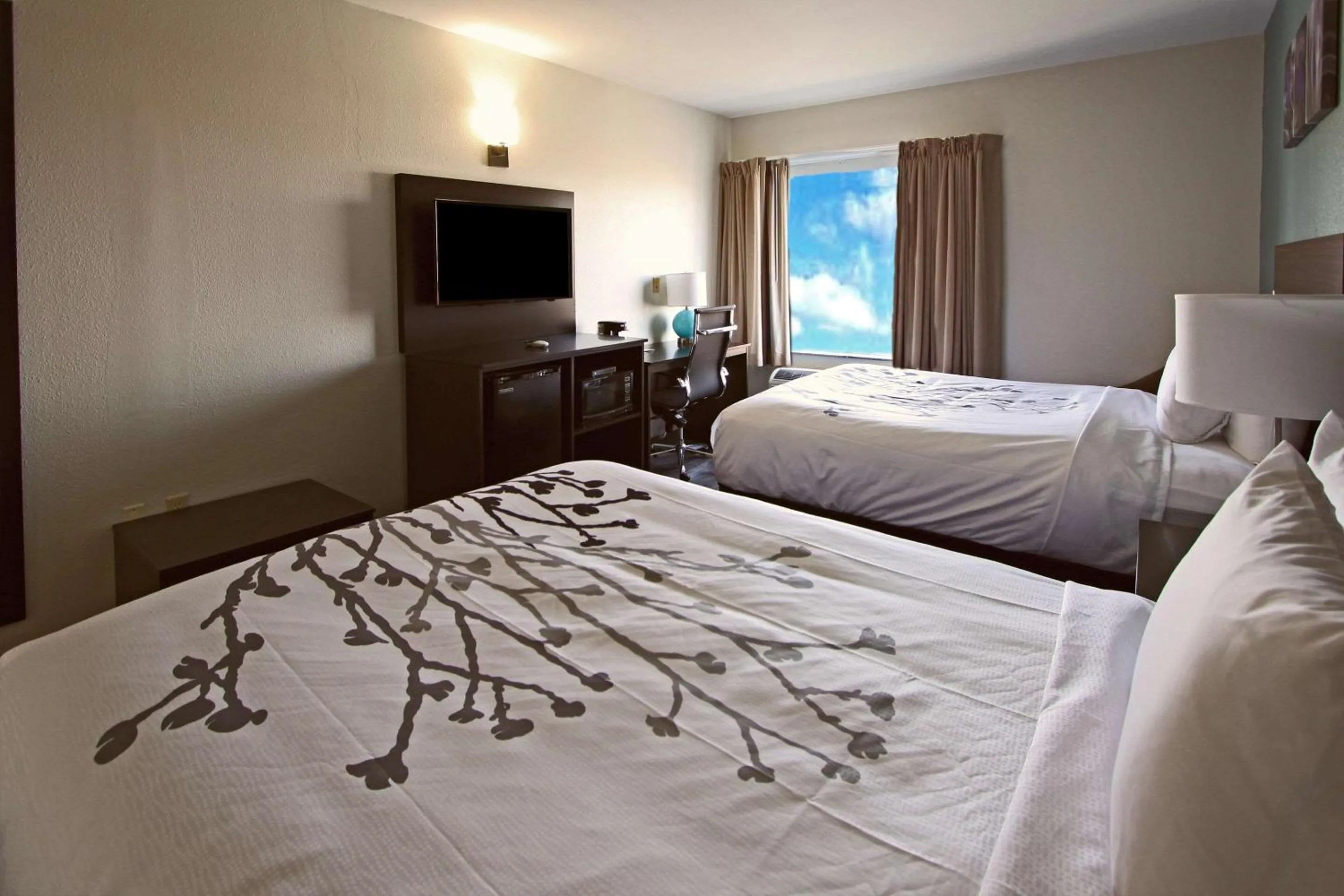 Queen Room with Two Queen Beds - Non Smoking in Sleep Inn & Suites Foley - Gulf Shores North
