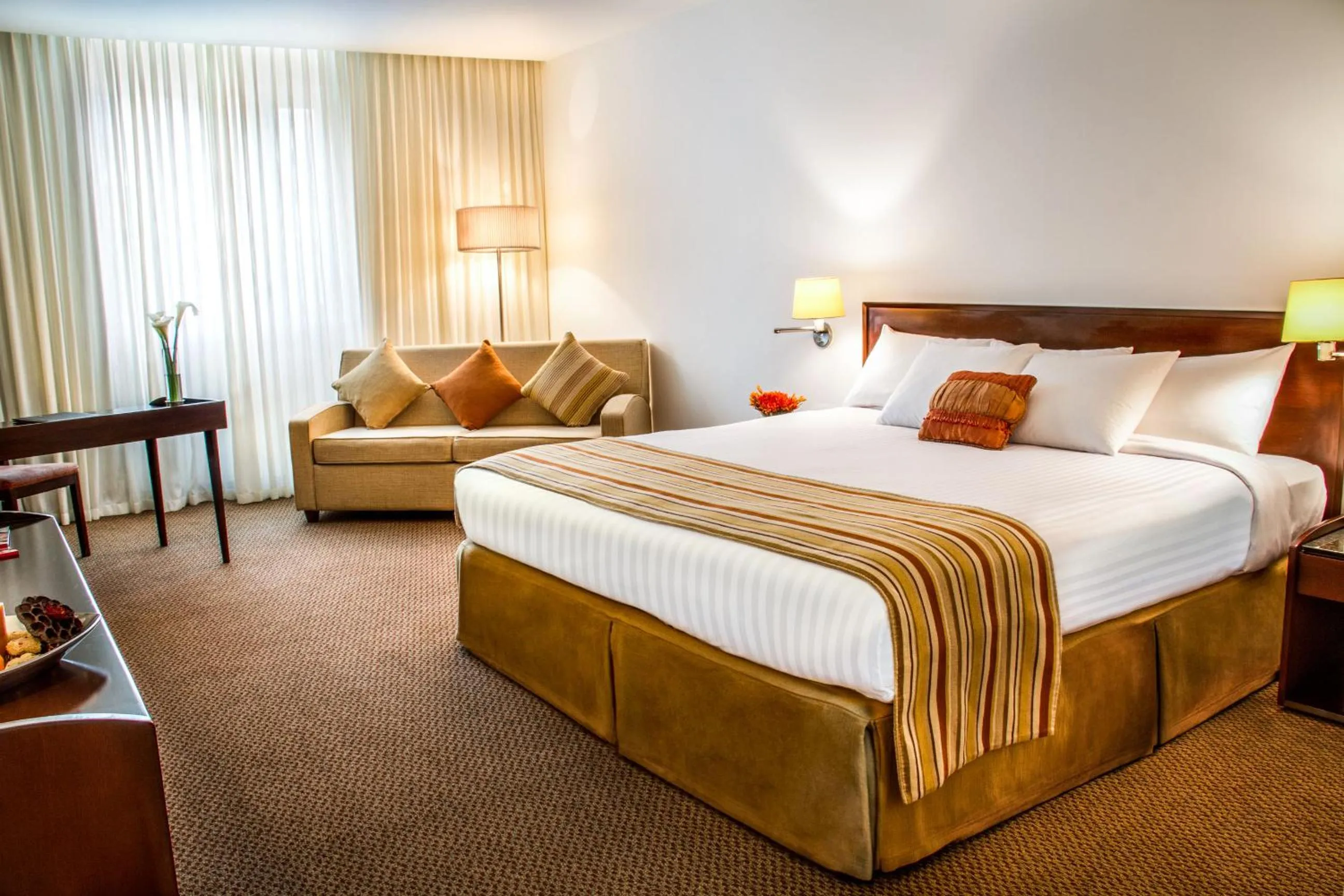 Executive Suite - single occupancy in Lidotel San Cristóbal