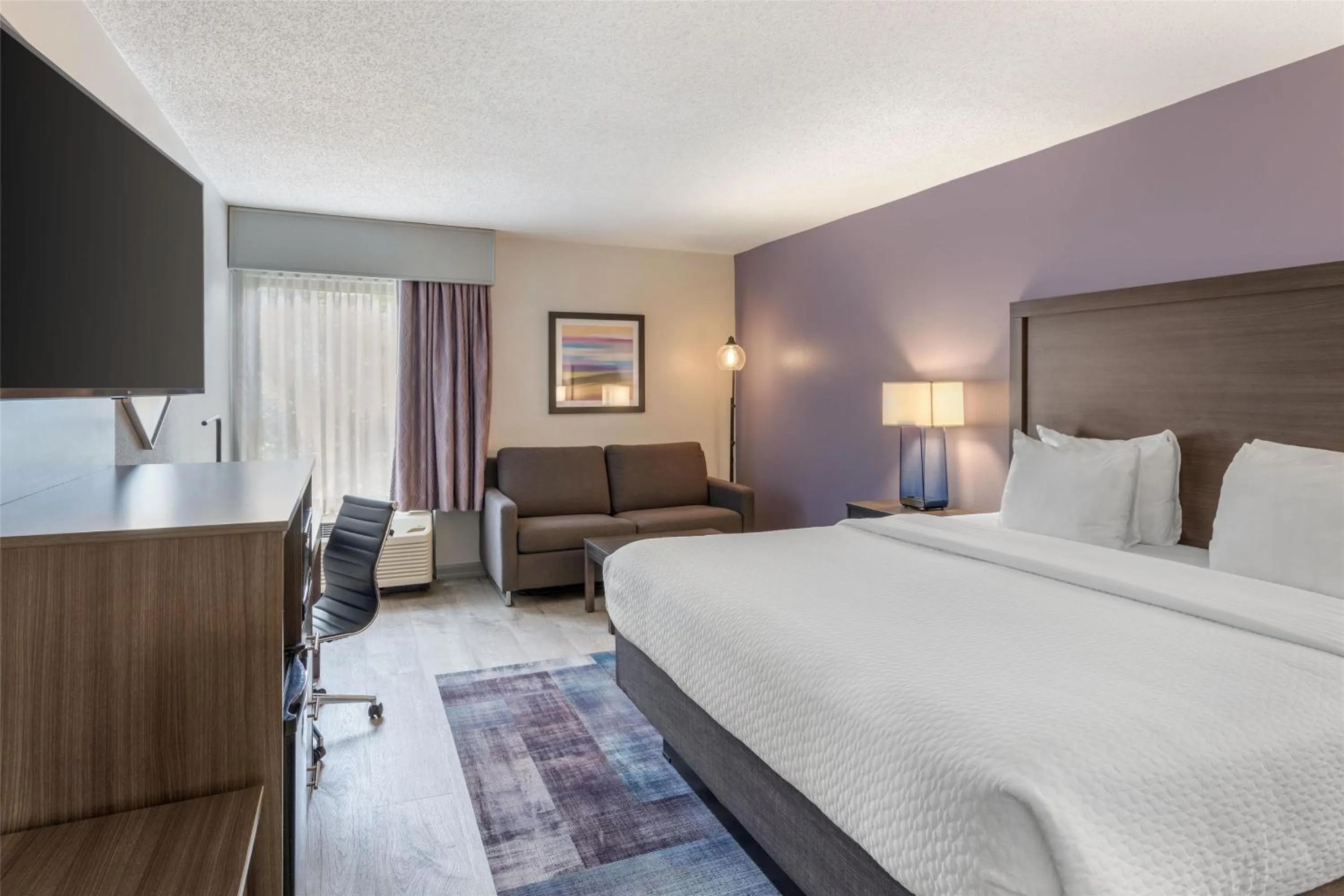 King Room with Sofa Bed - Non-Smoking Room in Best Western Hickory