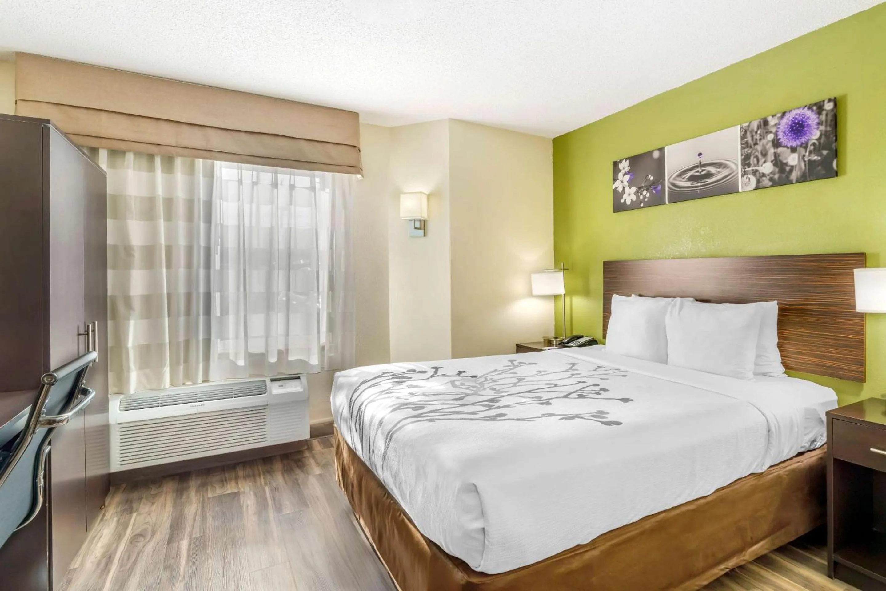 Queen Room - Non-Smoking in Sleep Inn Hickory South