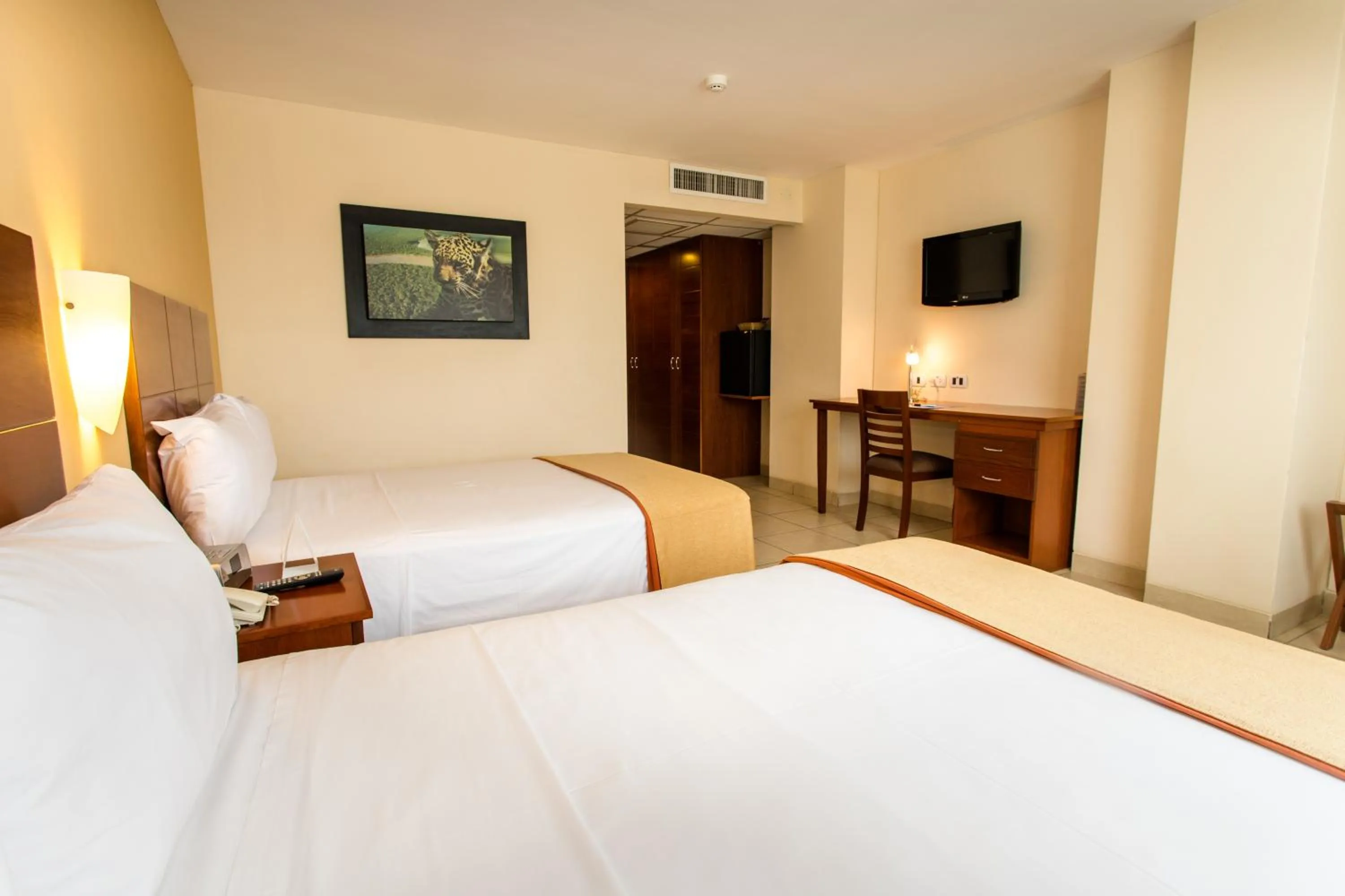 Twin Standard in Wyndham Costa del Sol Pucallpa