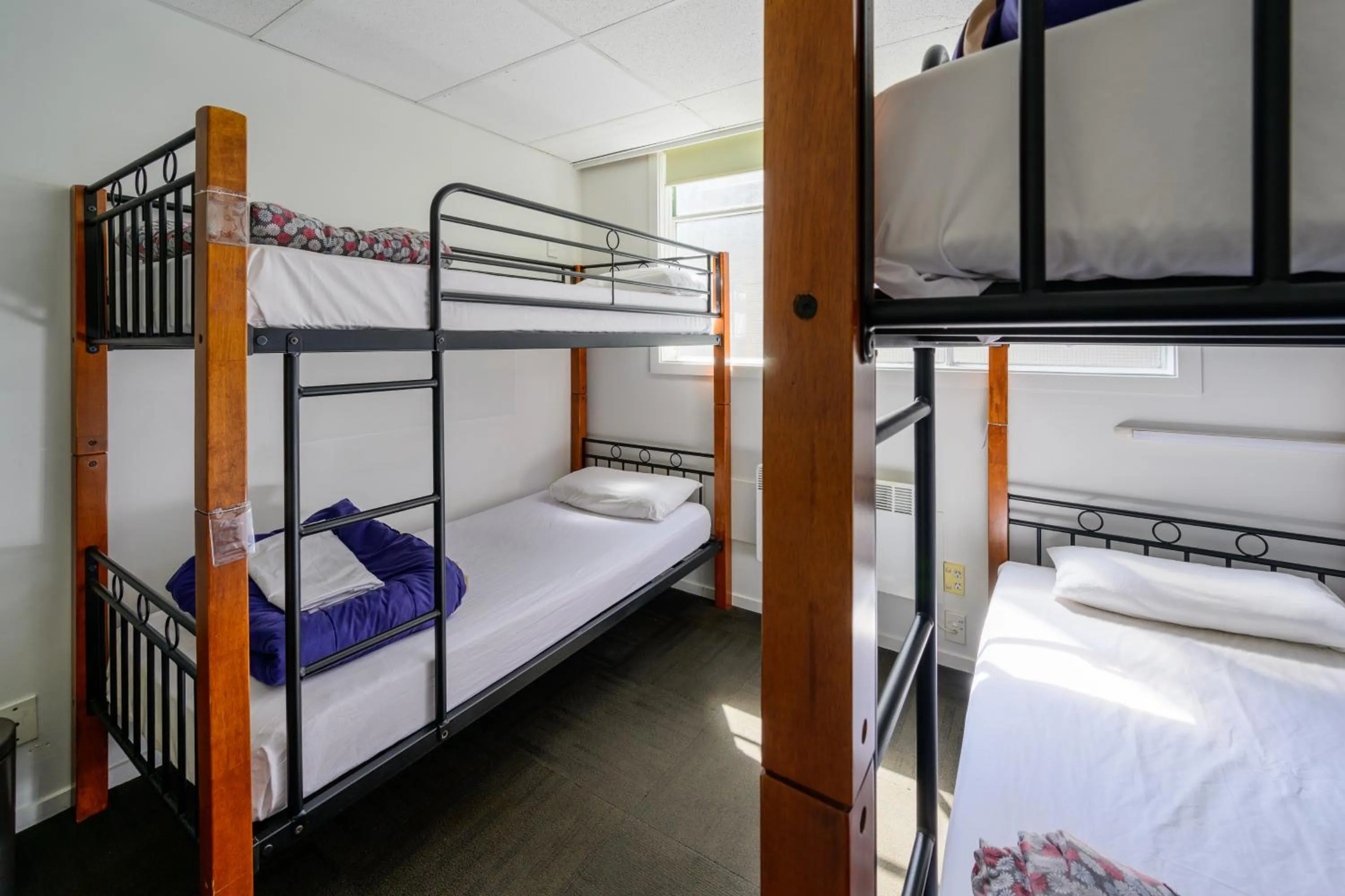 Four Bed Dorm in Trek Global Backpackers