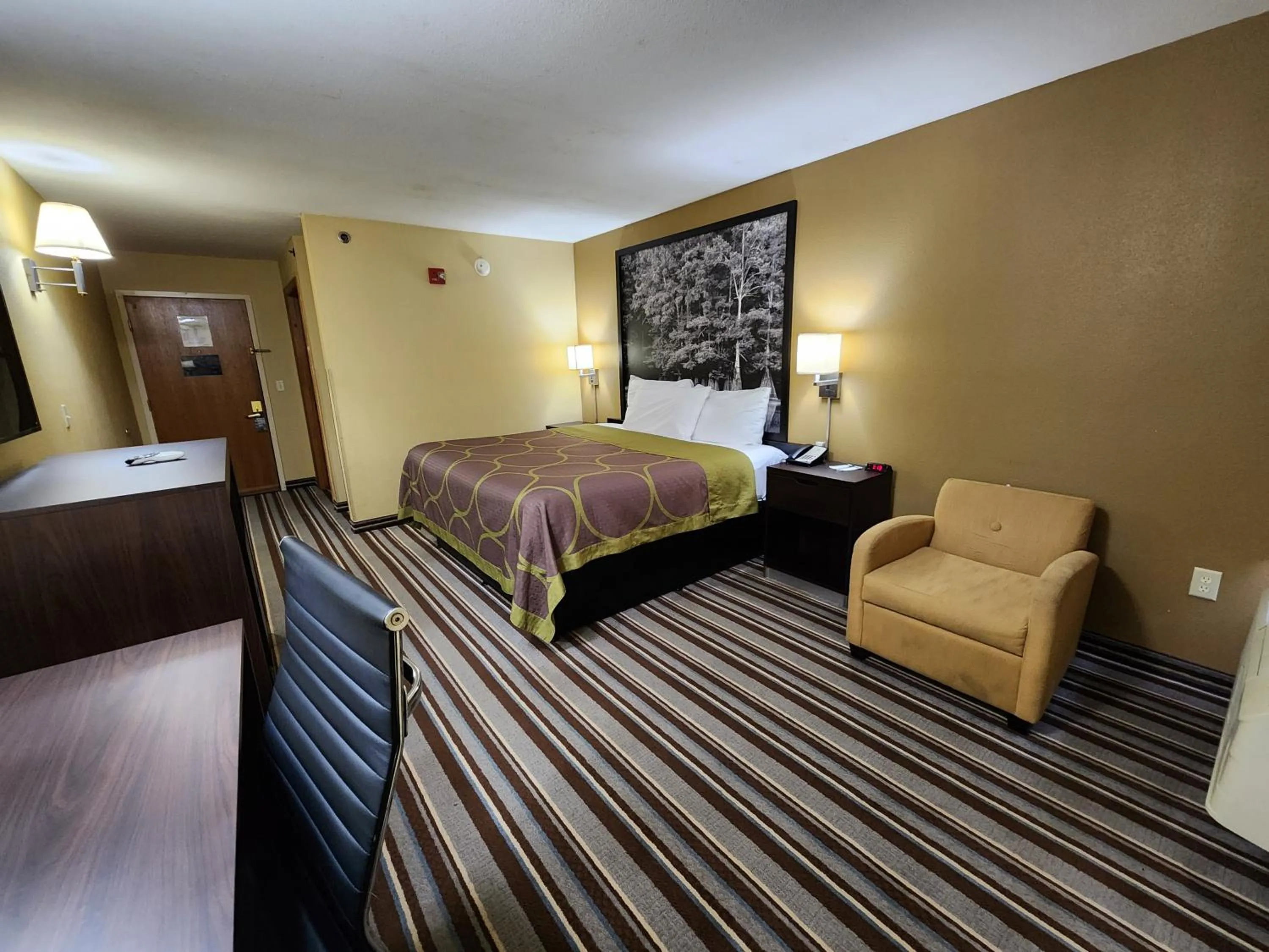 King Room - Non-Smoking in Super 8 by Wyndham Pine Bluff