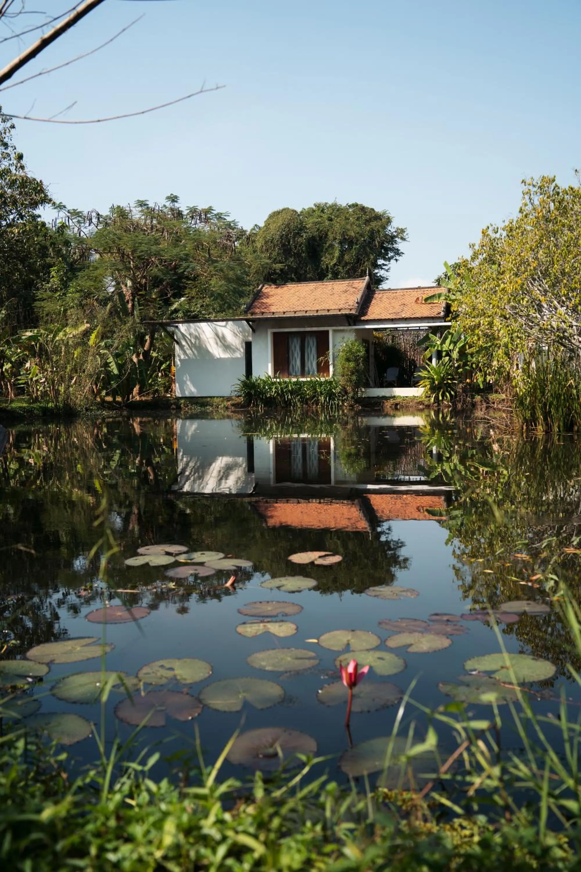 King Room with Lake View in Battambang Resort