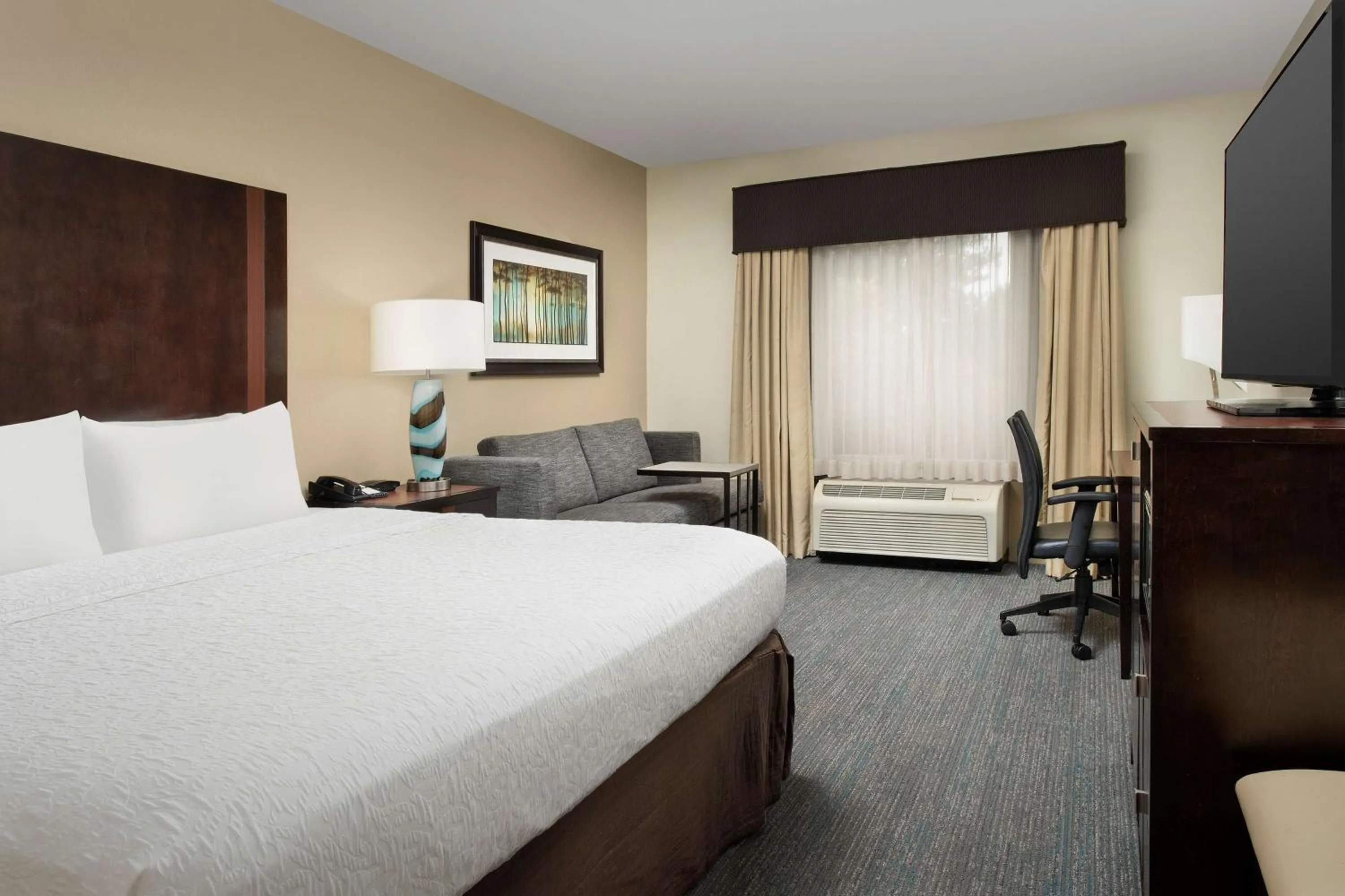 King Room with Sofa Bed - Non-Smoking in Hampton Inn & Suites Alpharetta-Windward