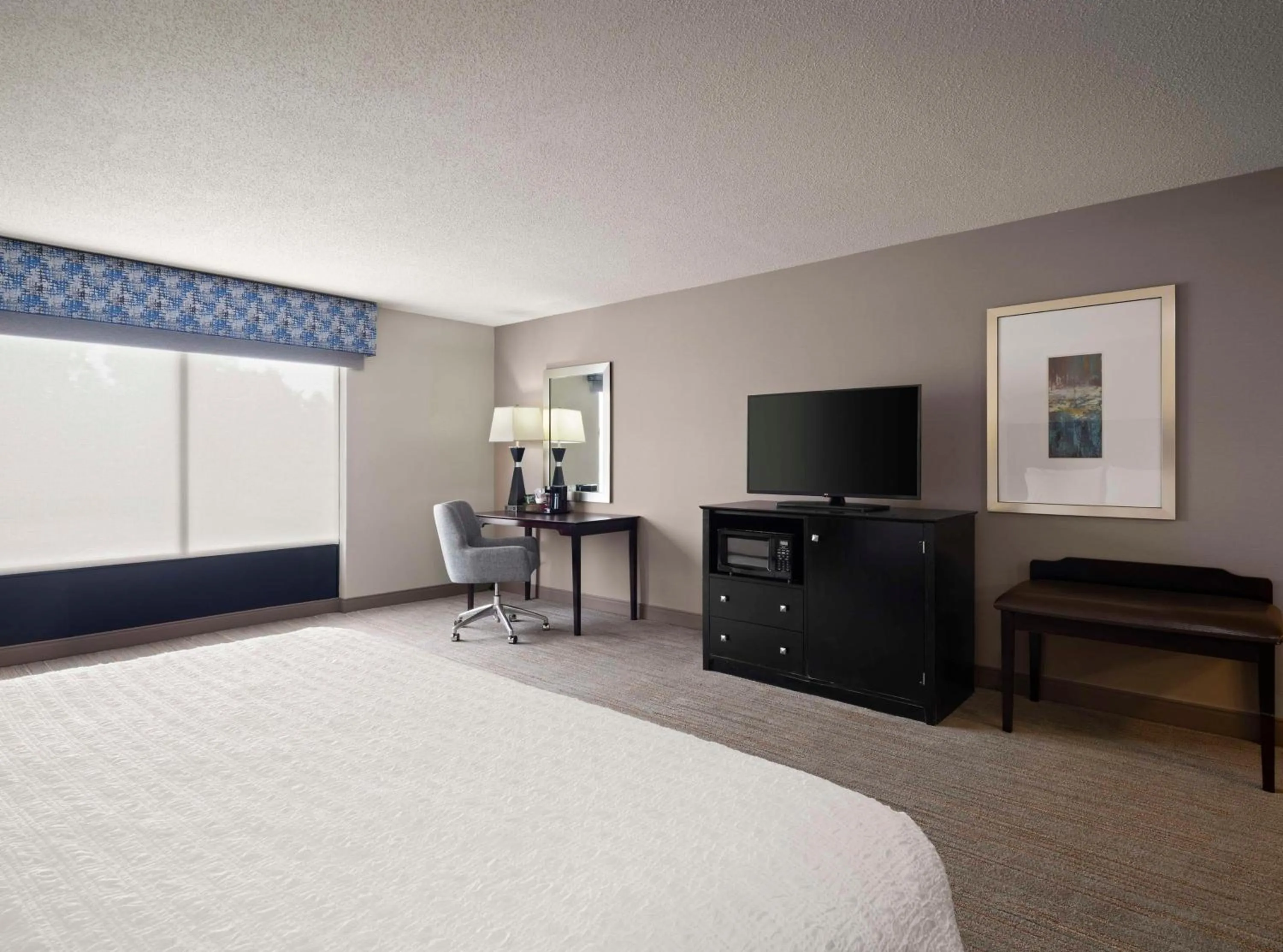 King Room with Accessible Tub - Mobility and Hearing Access/Non-Smoking in Hampton Inn & Suites Arundel Mills/Baltimore