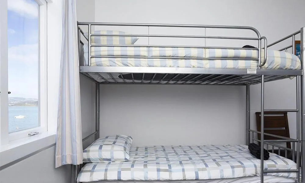 Single Bed in 4-Bed Dormitory Room in Moana Lodge