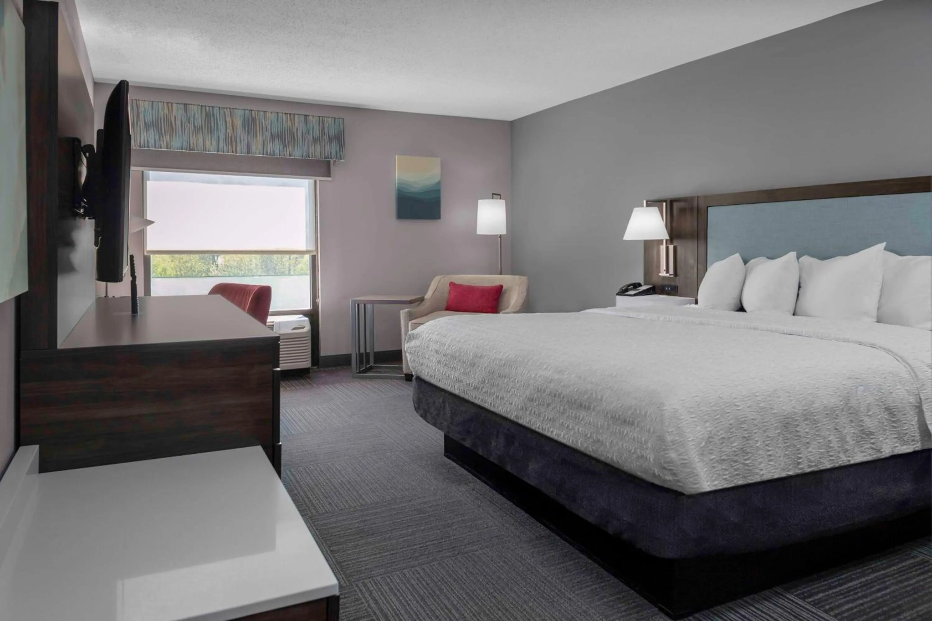 King Room with King Bed - Non-Smoking in Hampton Inn Conyers