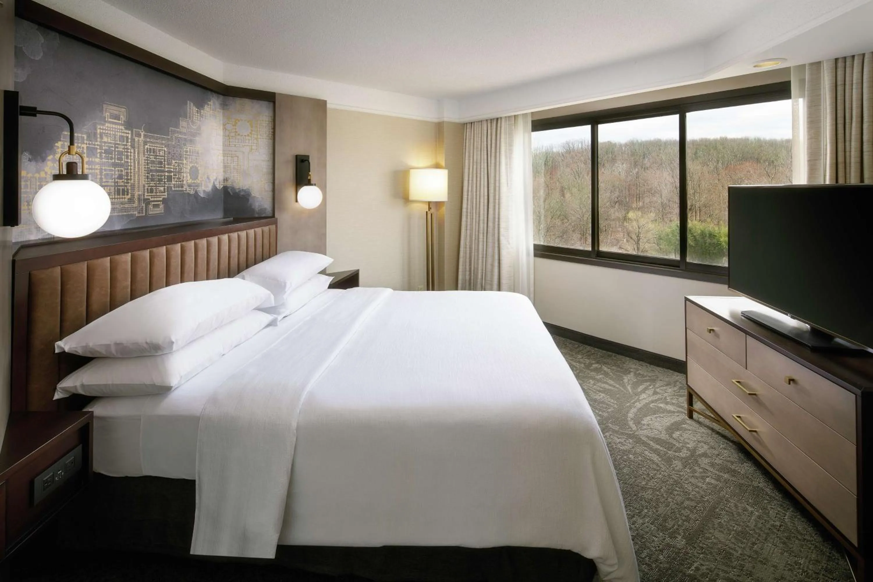 Suite with One King Bed, One Queen Sofa Bed and Shower in Embassy Suites Tysons Corner