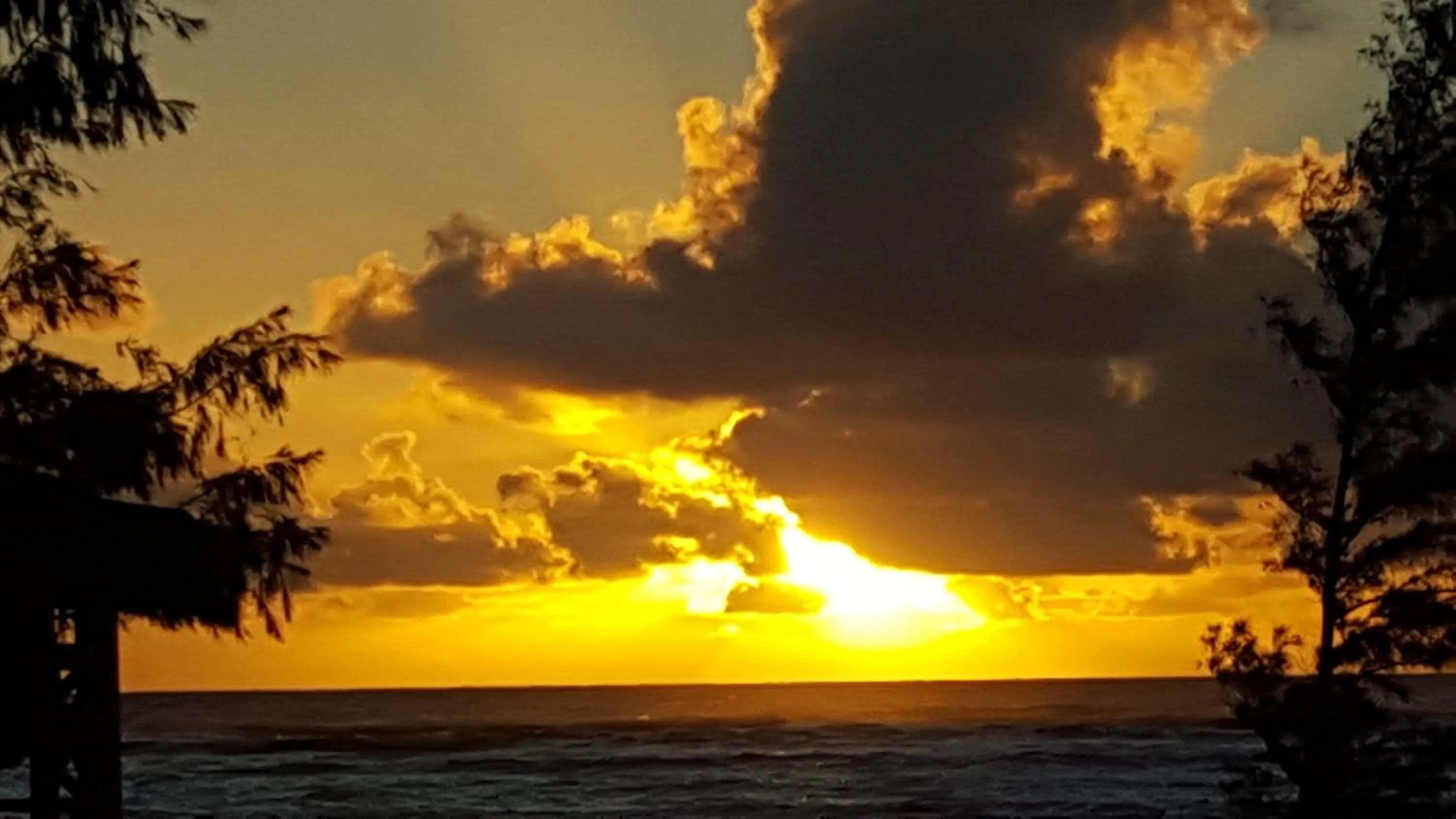 Queen Room with Two Queen Beds - Ocean Front in Hotel Coral Reef
