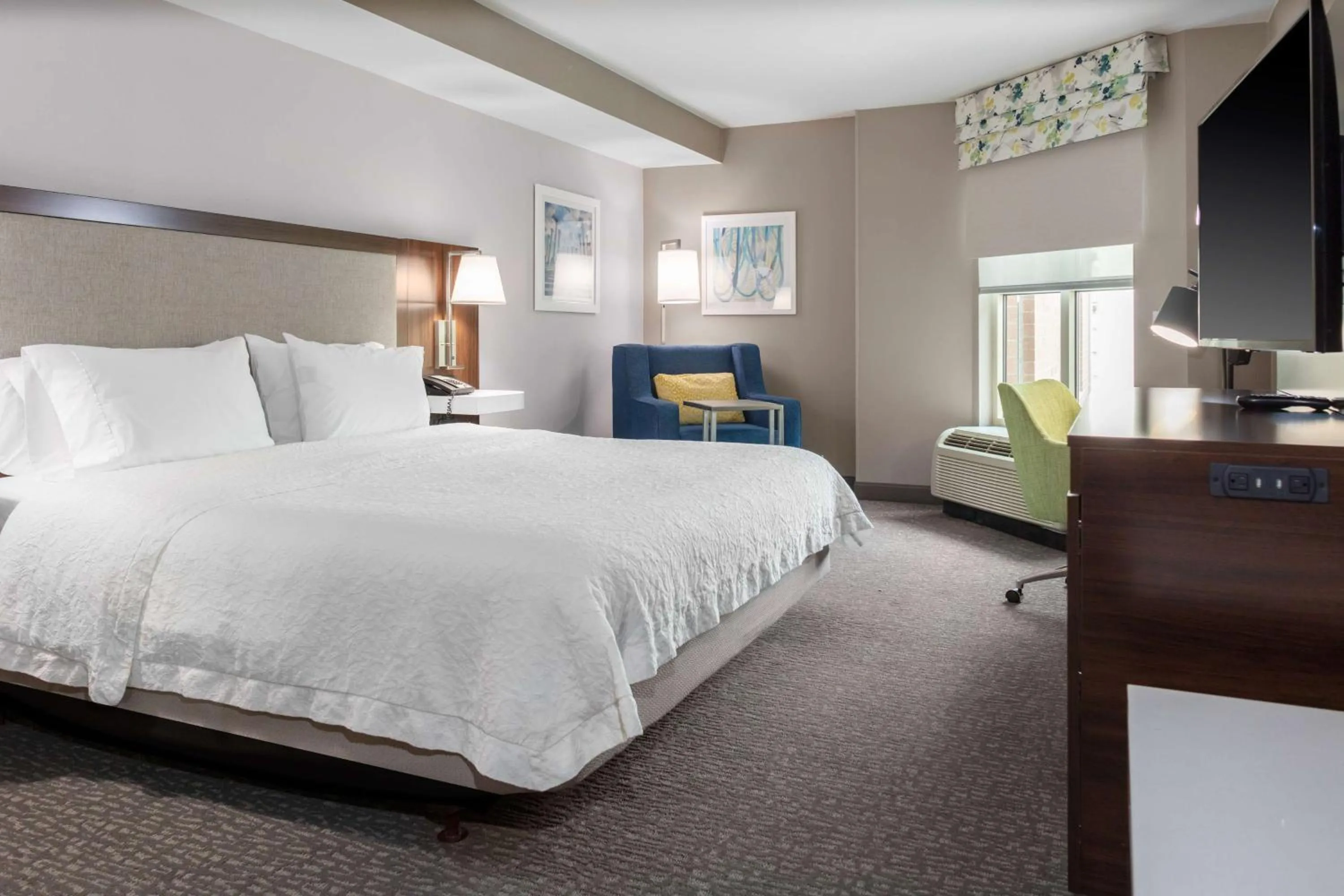 King Room with Bath Tub - Mobility Access in Hampton Inn & Suites Arlington Crystal City DCA