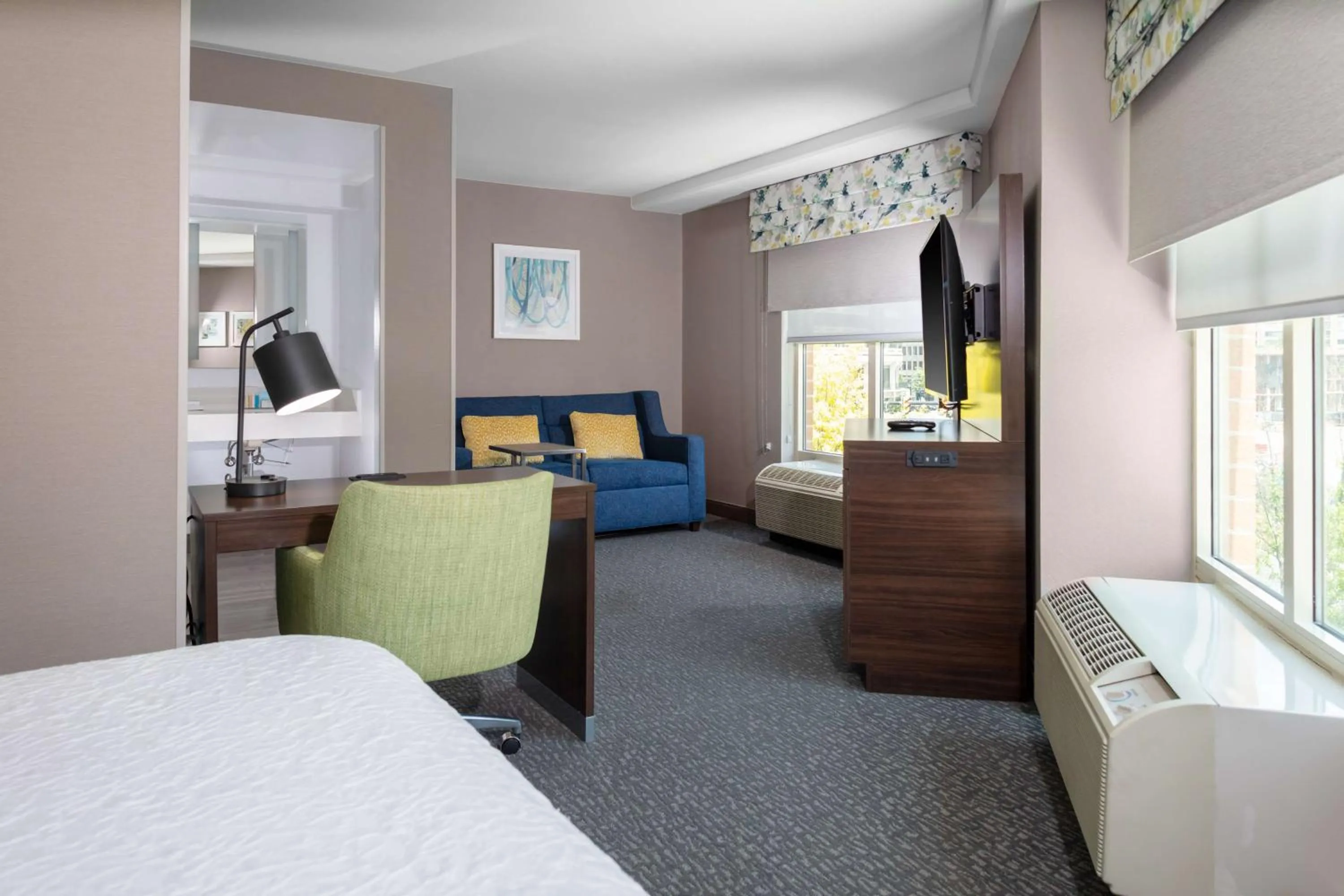 King Studio Suite in Hampton Inn & Suites Arlington Crystal City DCA