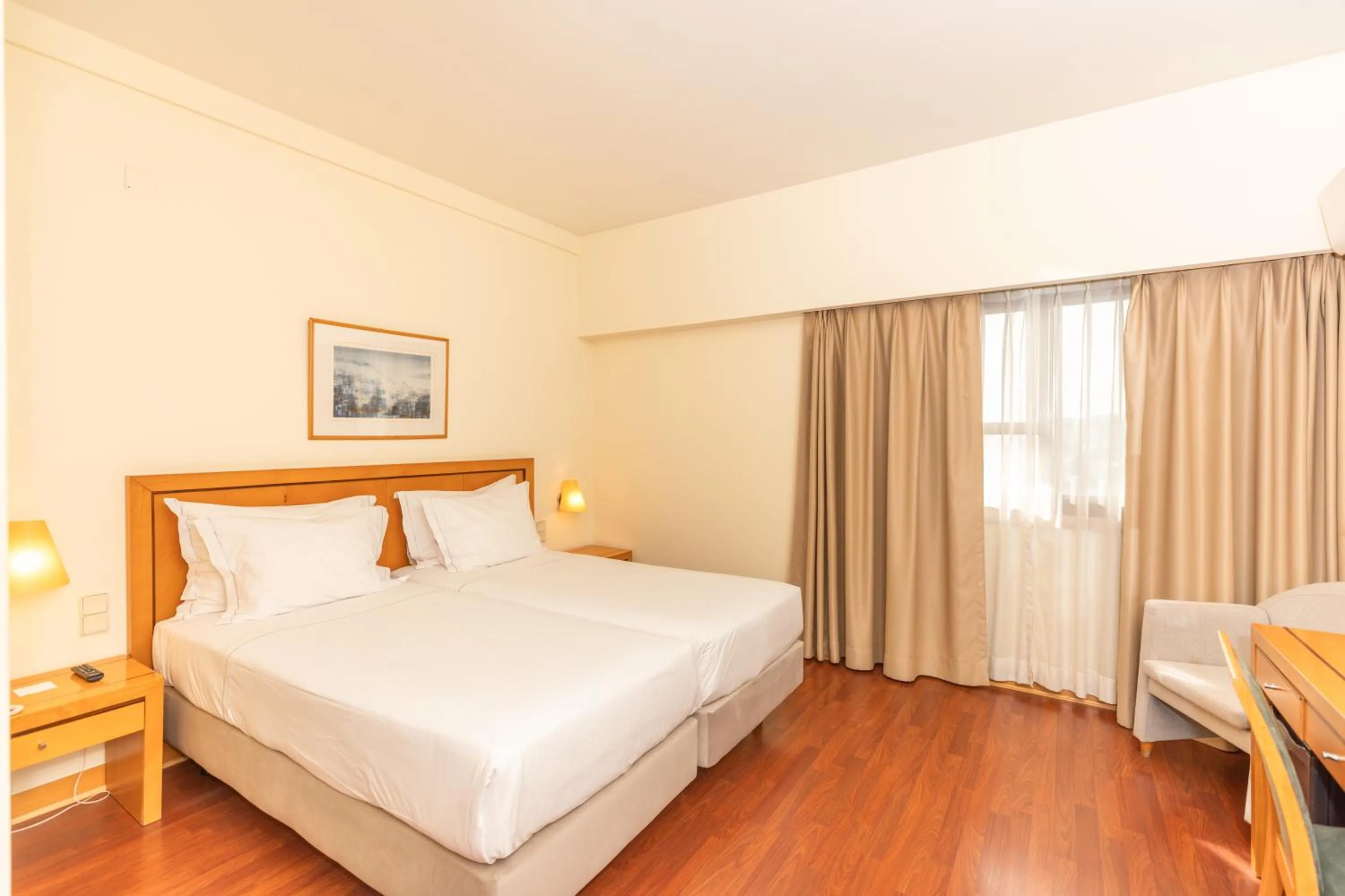 Standard Double or Twin Room - single occupancy in Hotel Roma