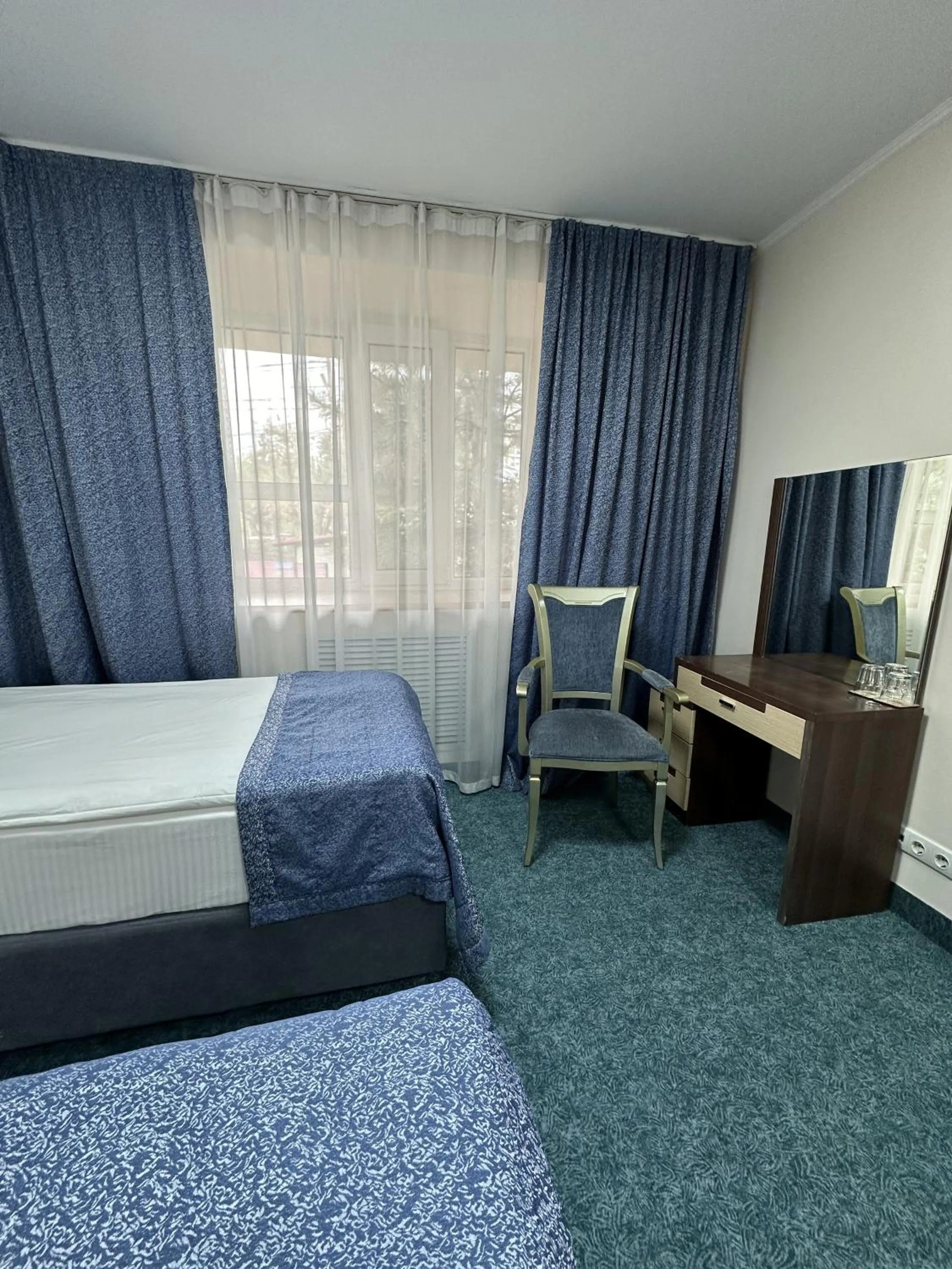 Superior Twin Room in Alma