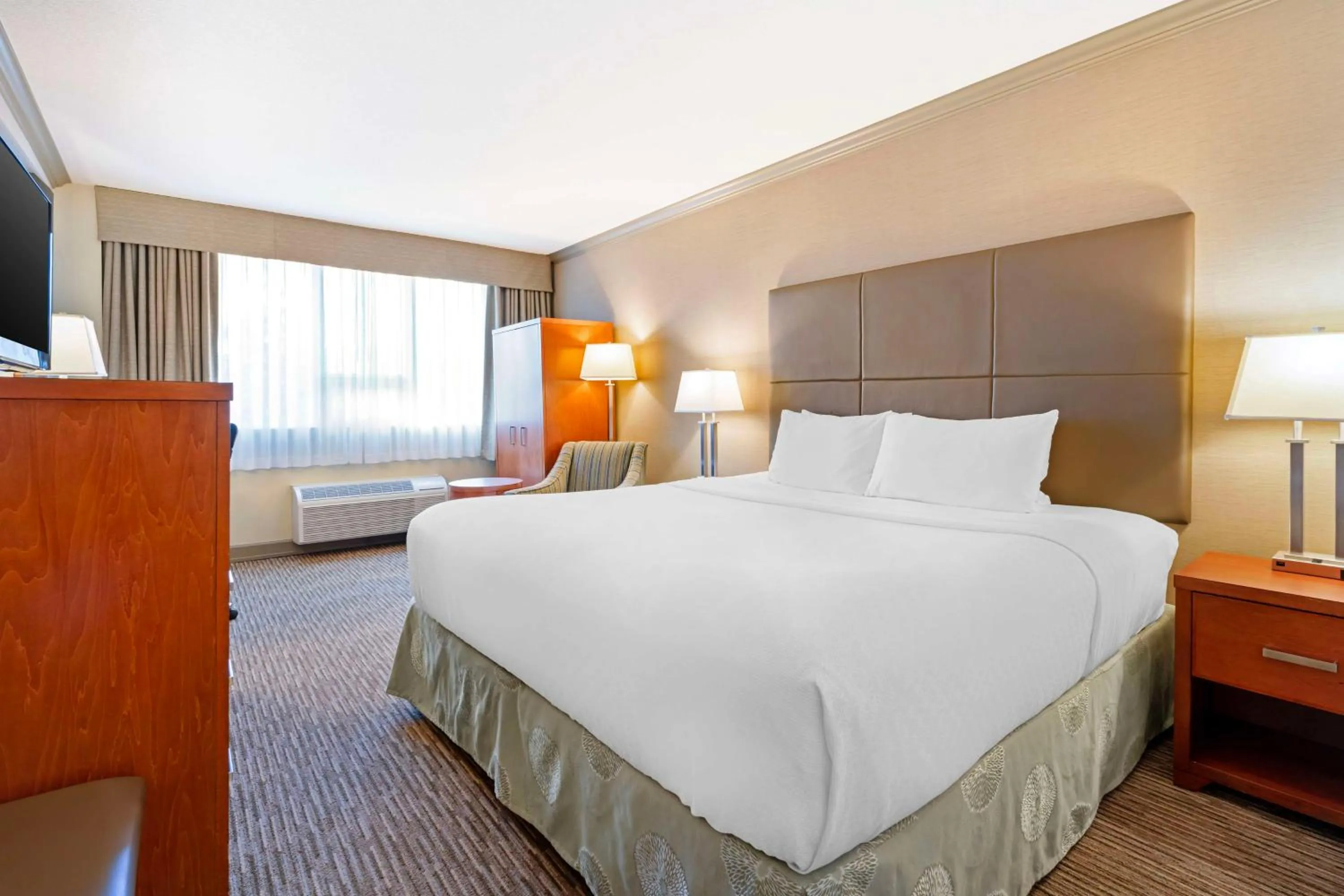 Executive King Room in Best Western Plus Barclay Hotel