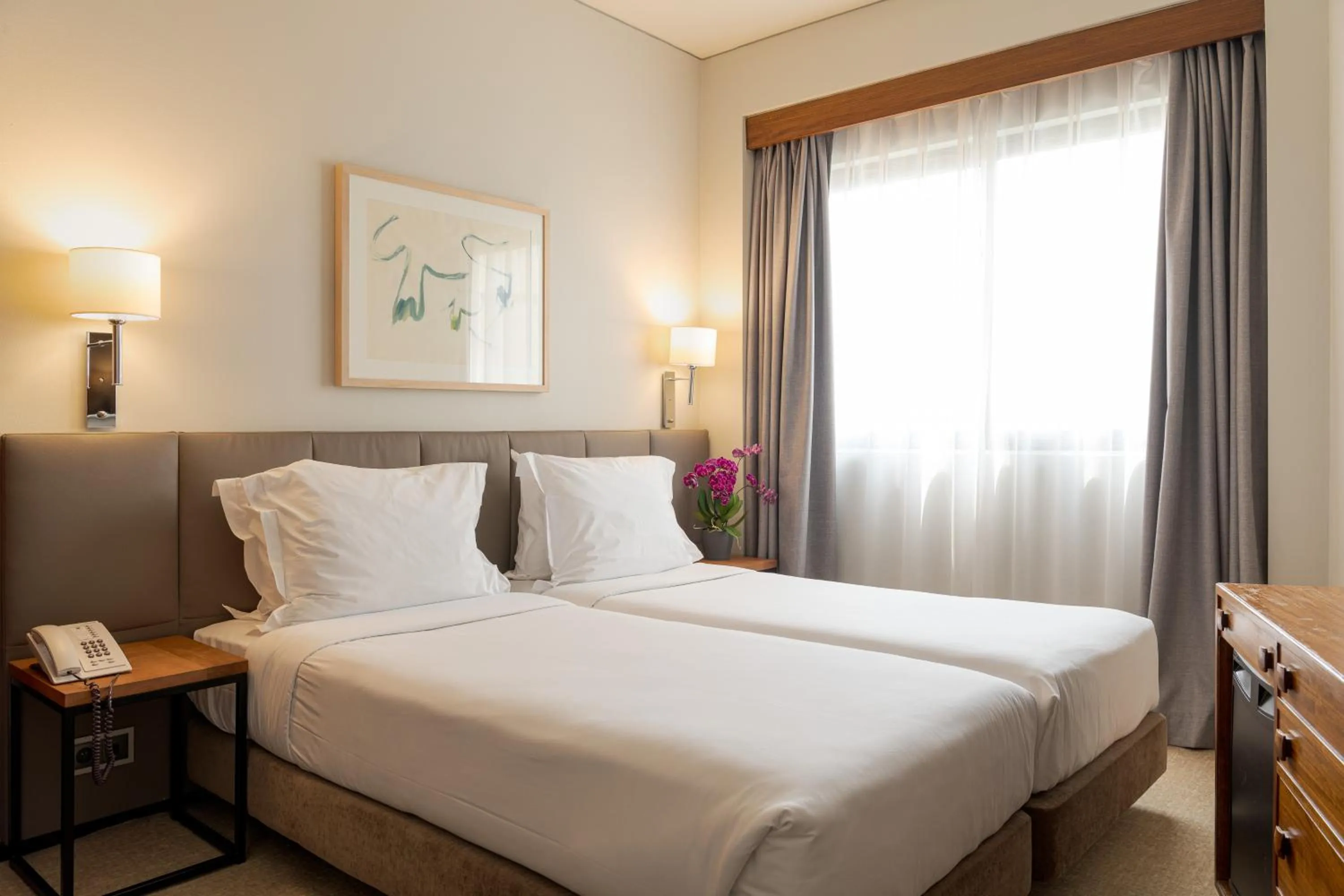 Classic Double or Twin Room in Hotel Dom Carlos Park