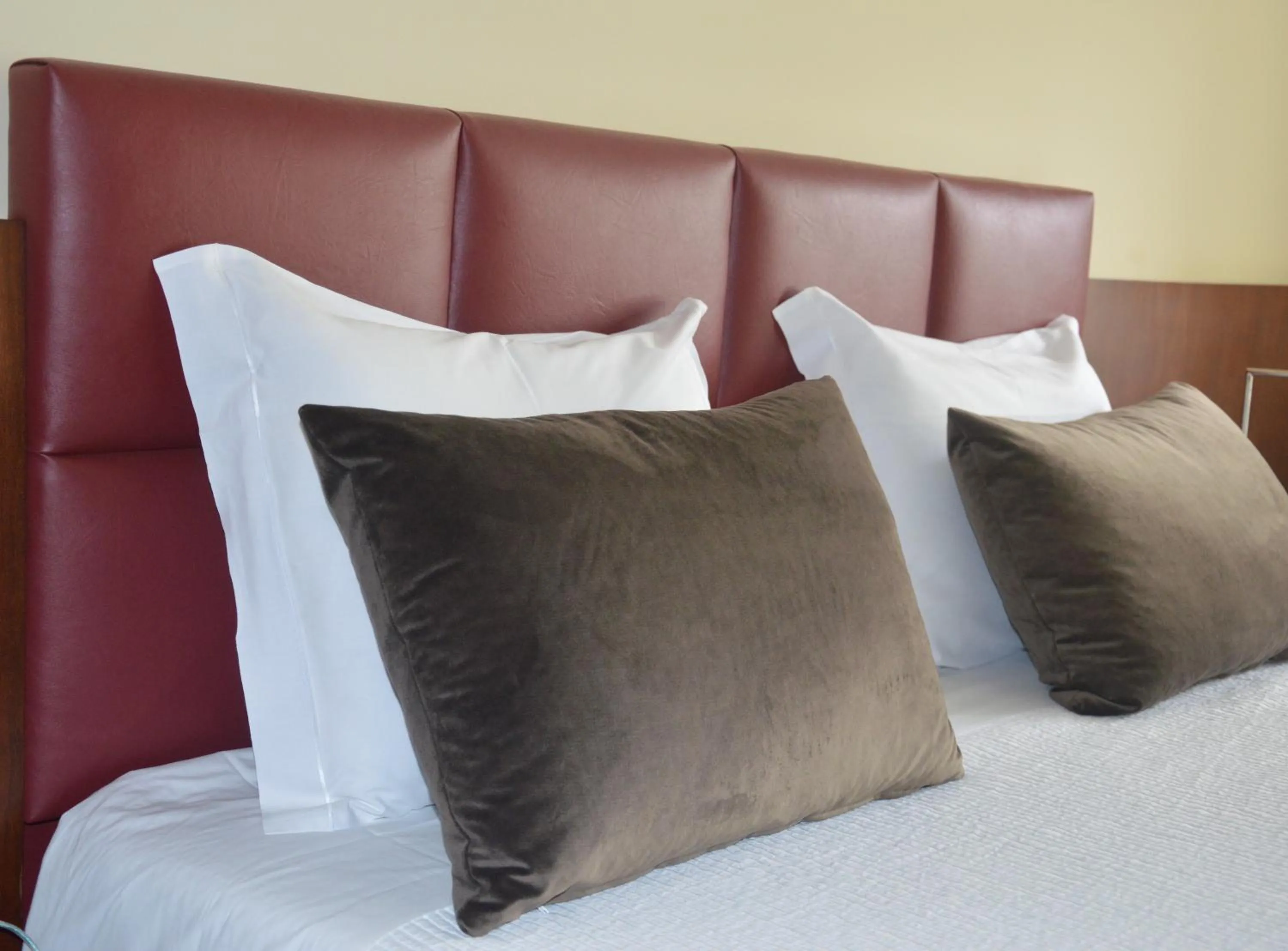 Double Room in Santana Hotel & SPA