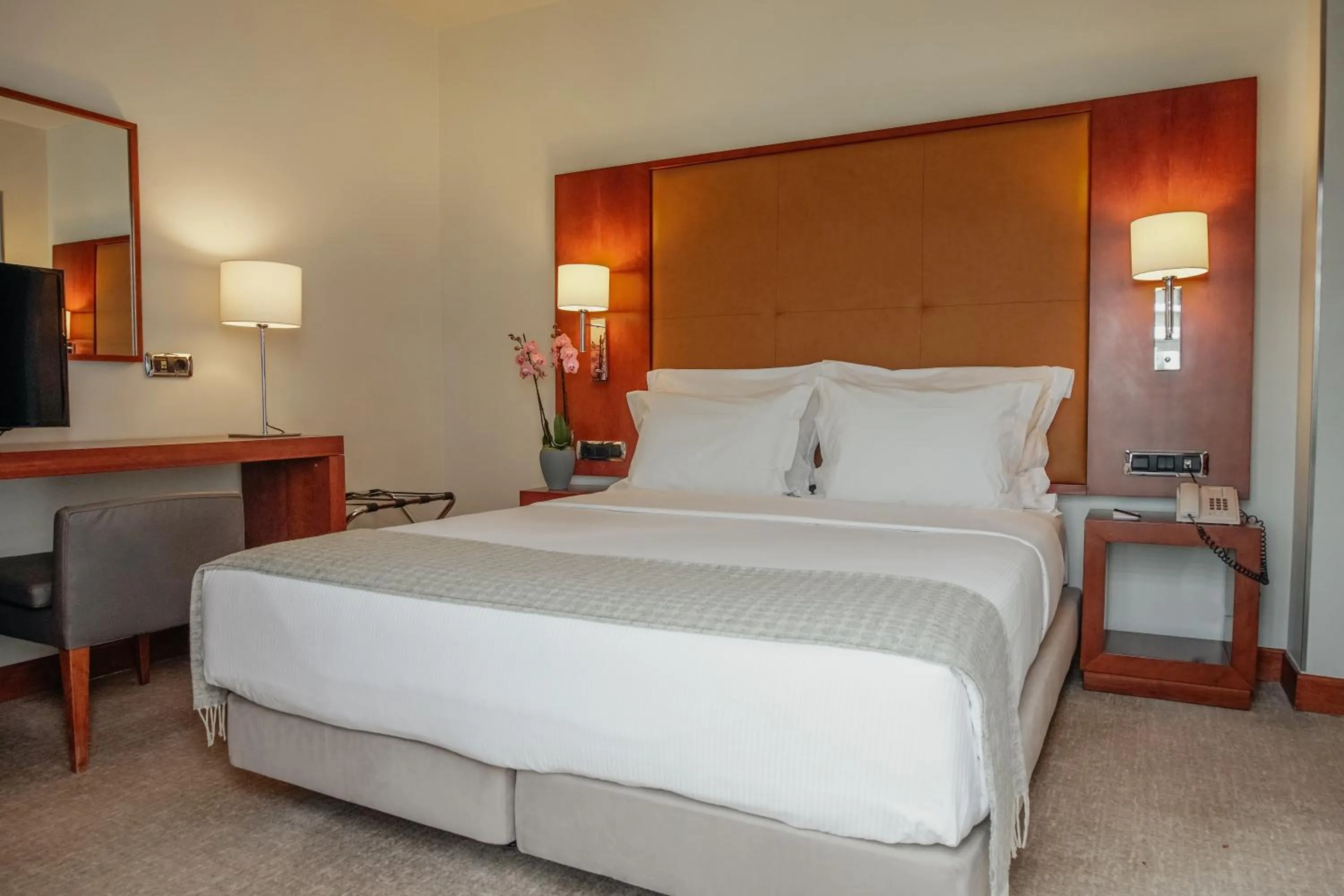 Deluxe Double or Twin Room with Private Terrace in Hotel Dom Carlos Liberty