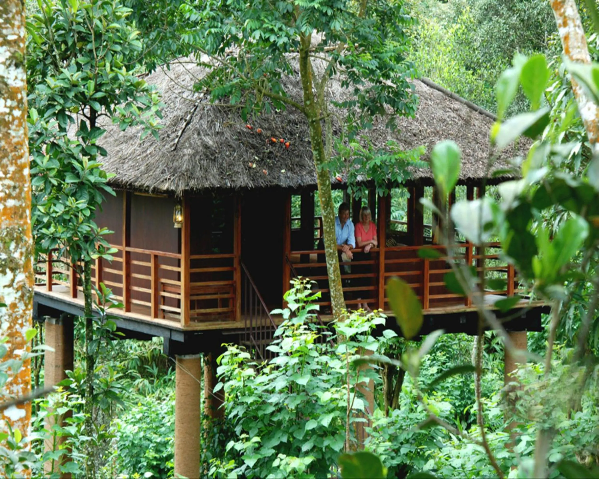 Tree House in Carmelia Haven Resort Thekkady