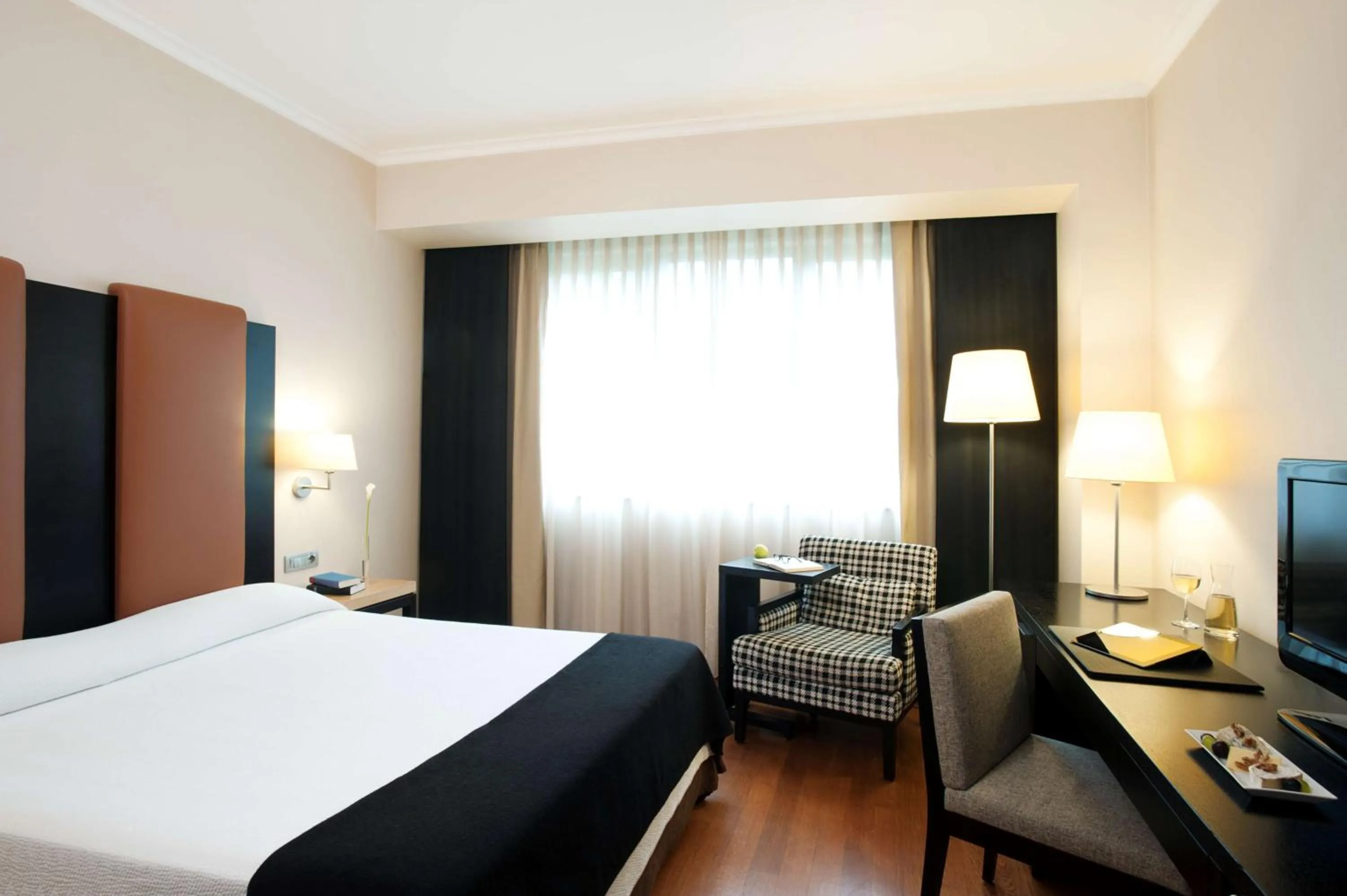 Standard Double or Twin Room in NH Timisoara