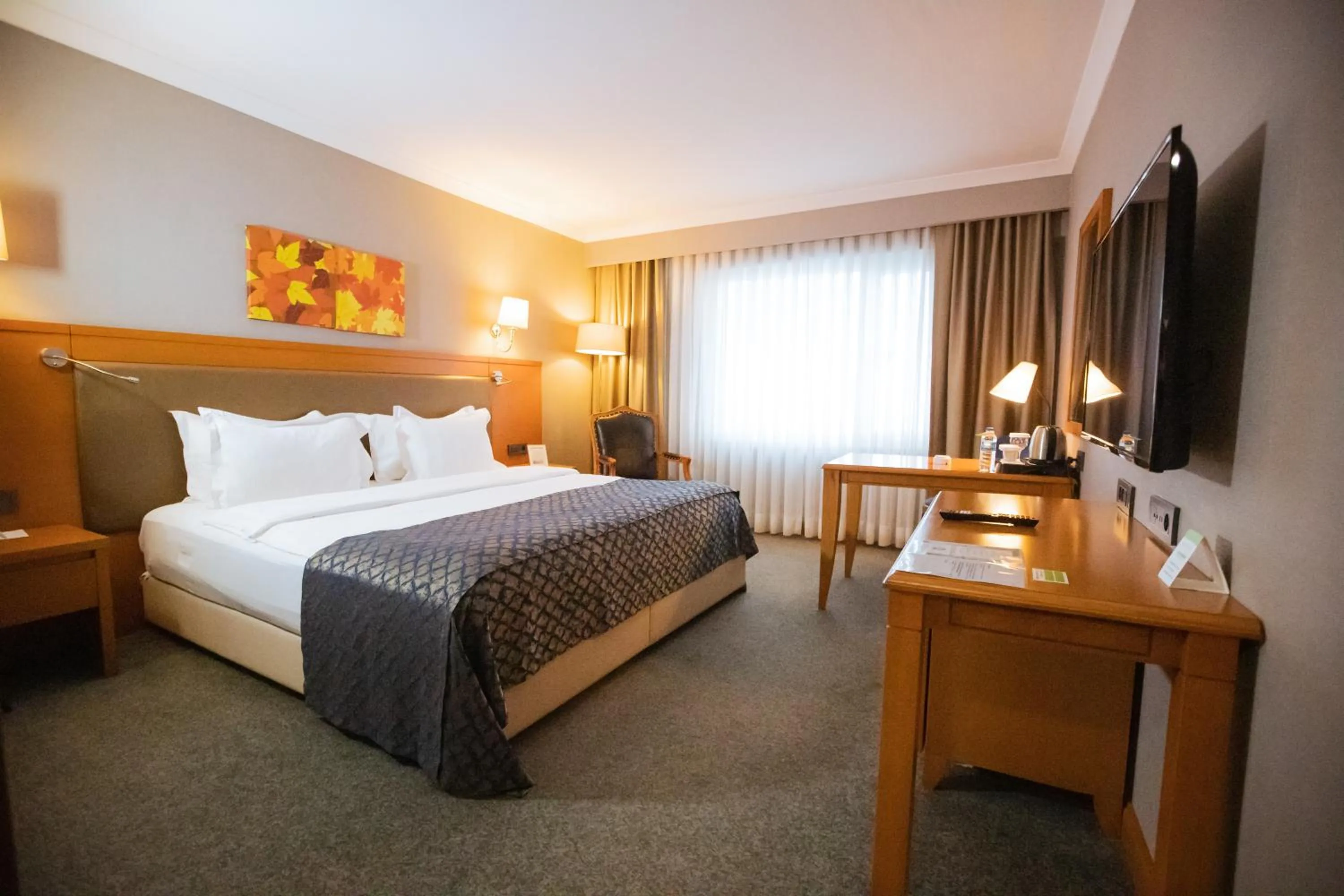 Business Double Room with Sea View in La Quinta by Wyndham Giresun