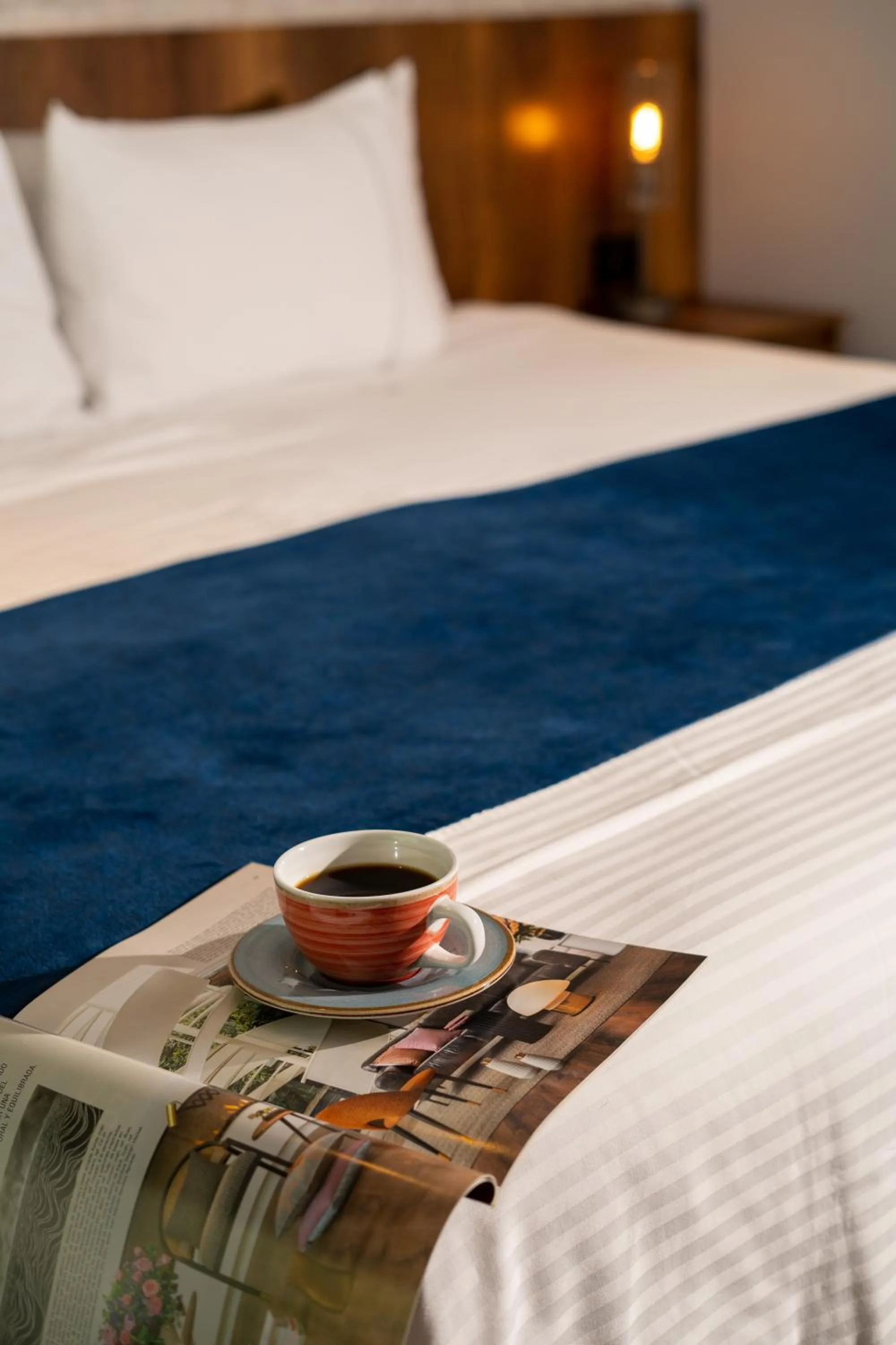 Superior Queen Room in Cafe Hotel Medellín