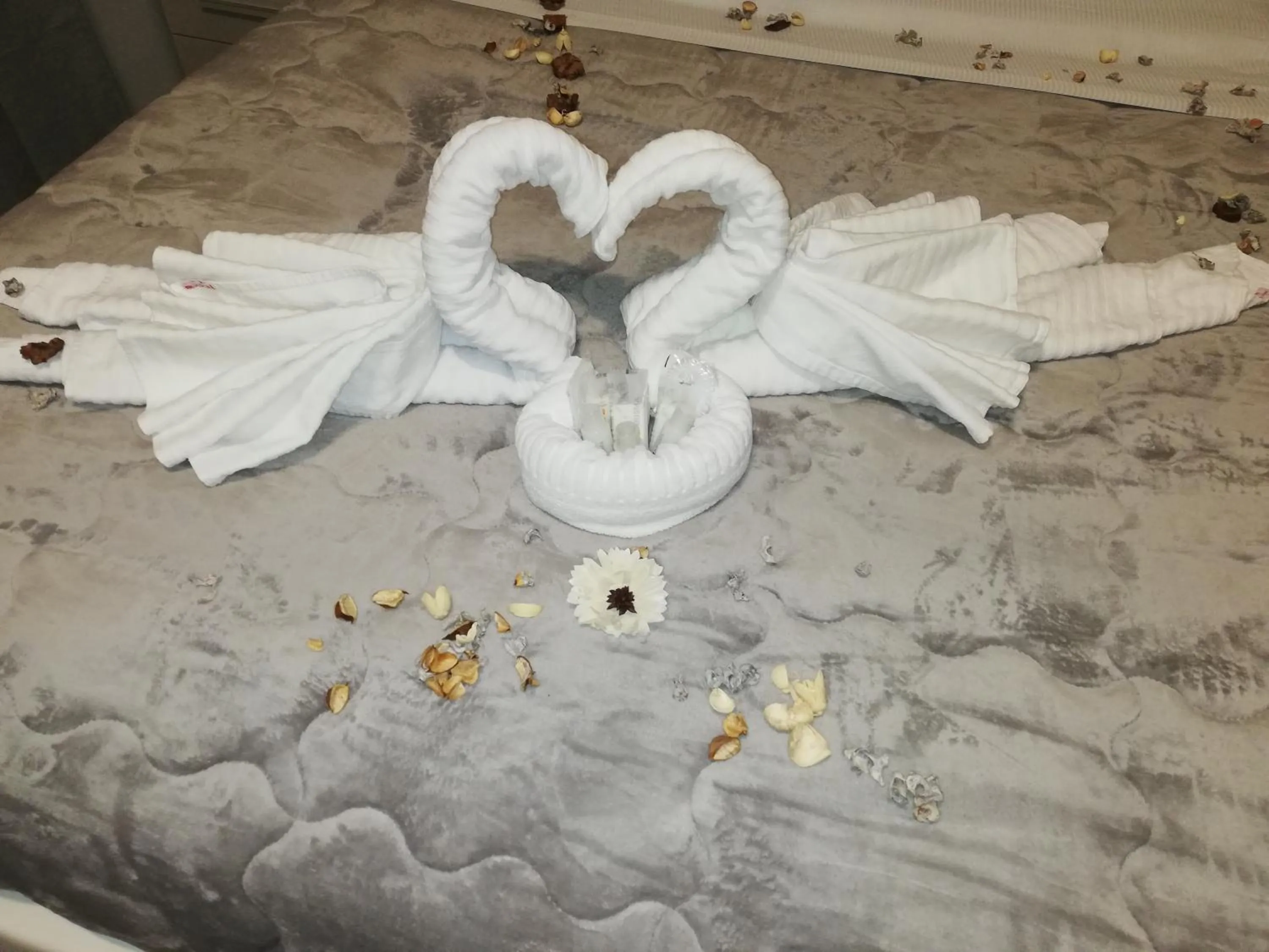 Standard King Room in Garden's Elide