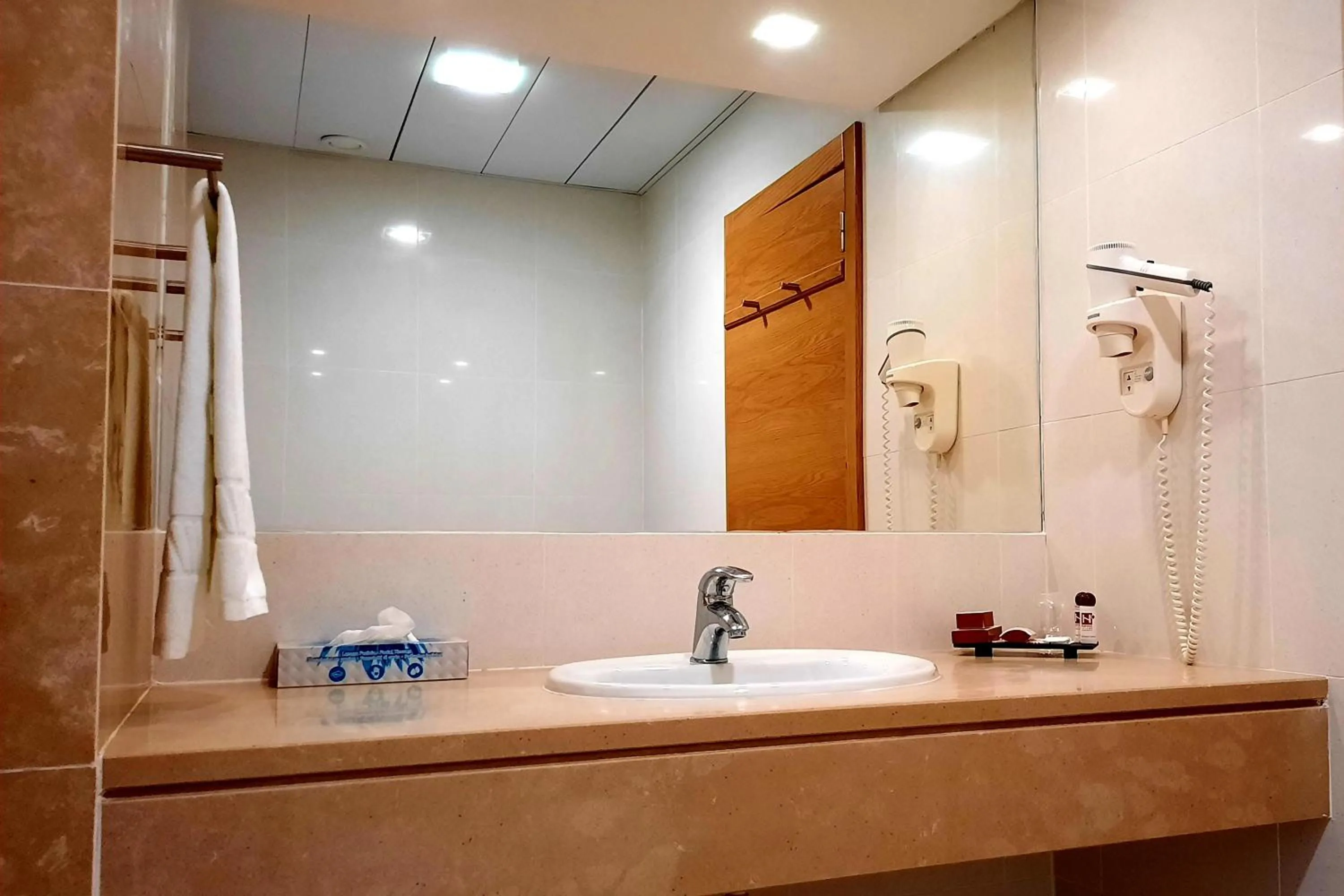 Single Room in BejaParque Hotel